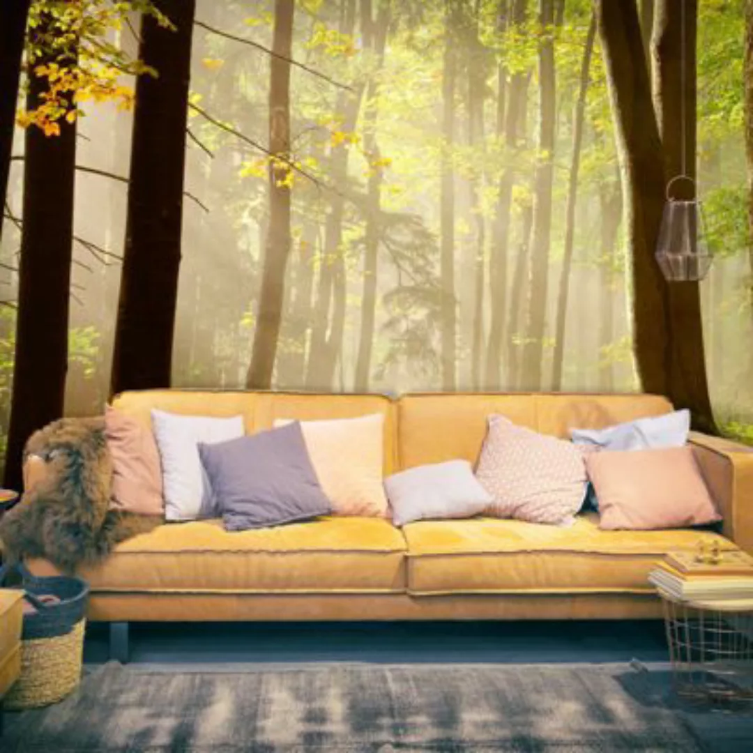 artgeist Fototapete Mysterious forest path mehrfarbig Gr. 250 x 193 günstig online kaufen