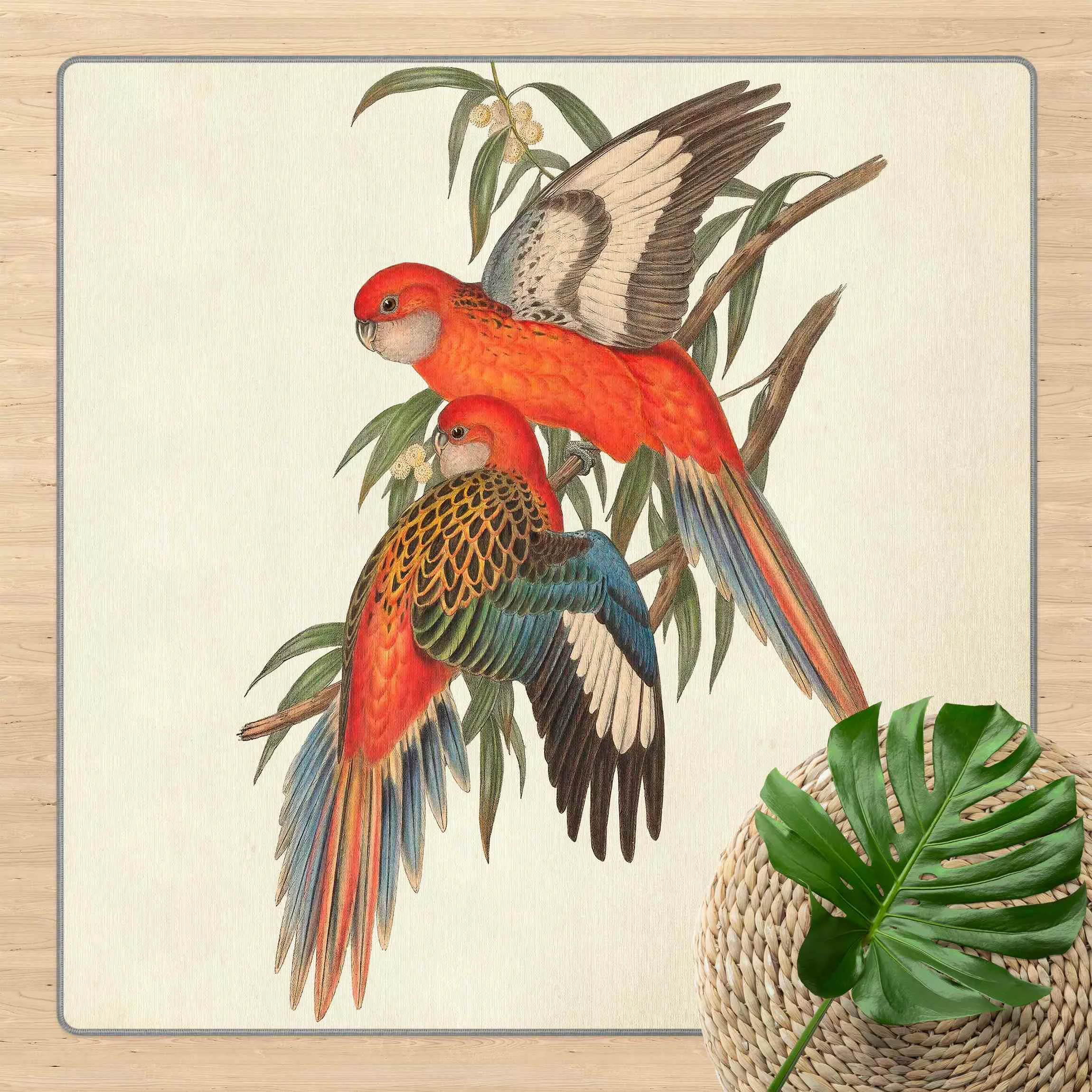 Teppich Tropische Papageien I günstig online kaufen