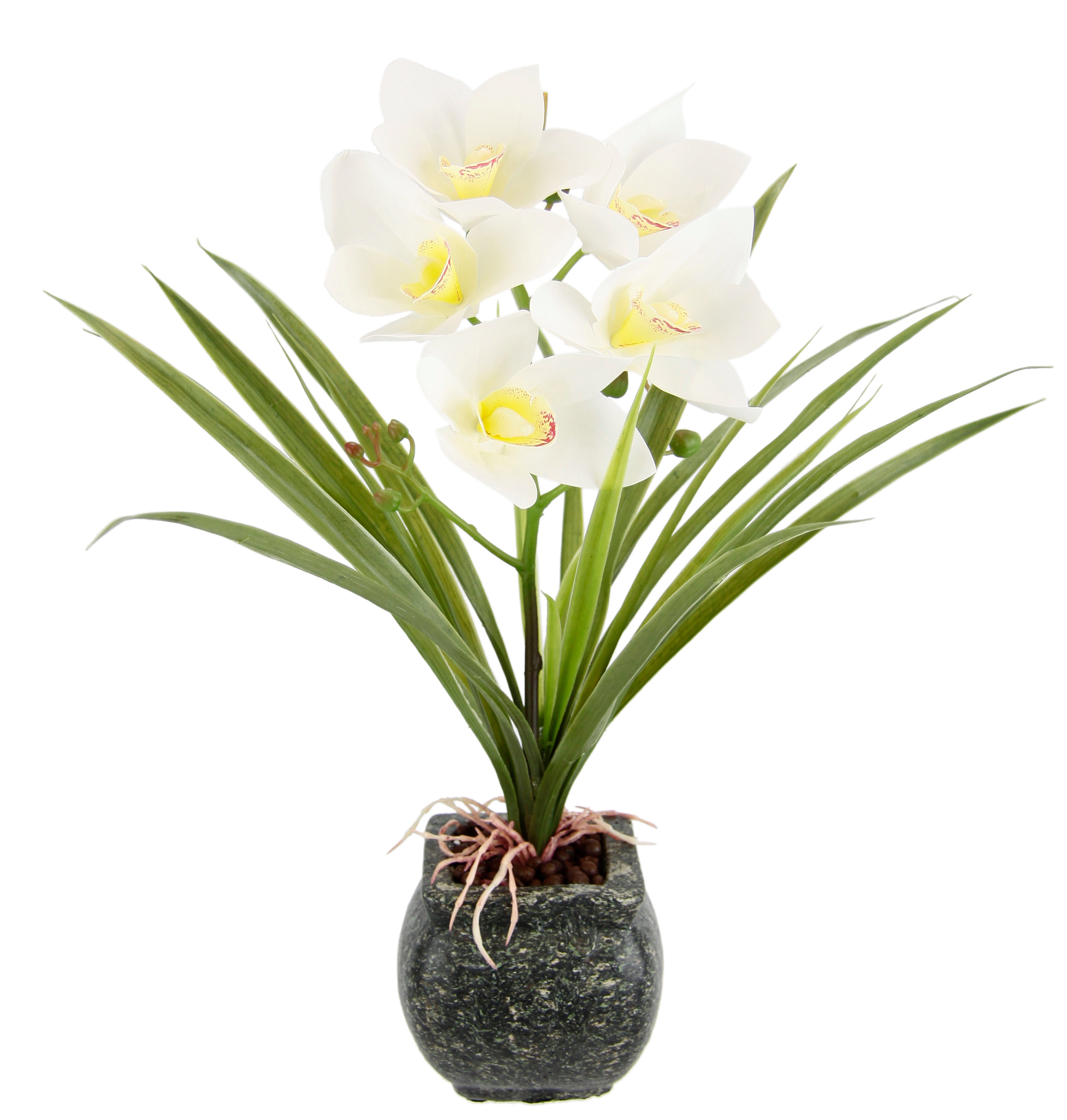 Kunstblume Orchidee, my home, Höhe 40 günstig online kaufen