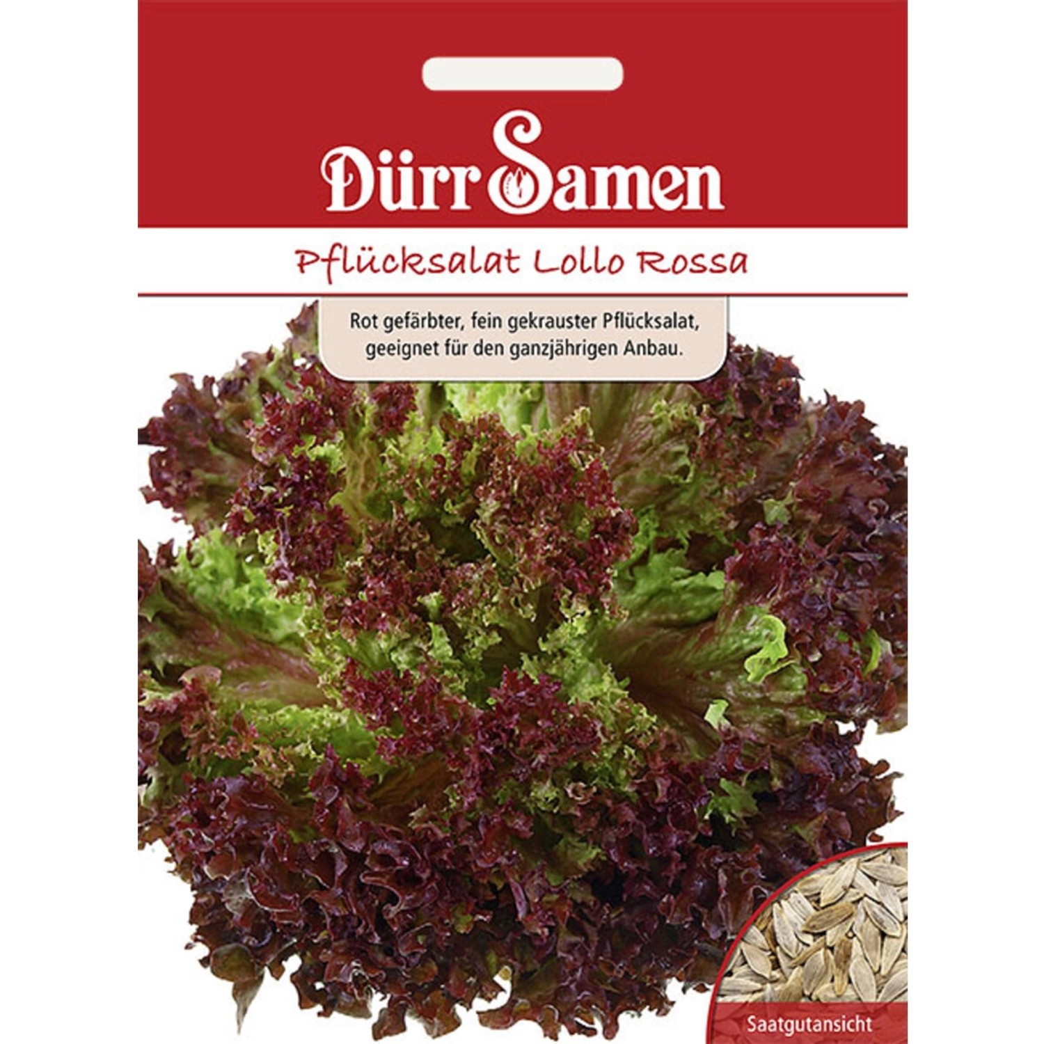 Dürr Samen Pflücksalat Lollo Rossa Saatgut günstig online kaufen