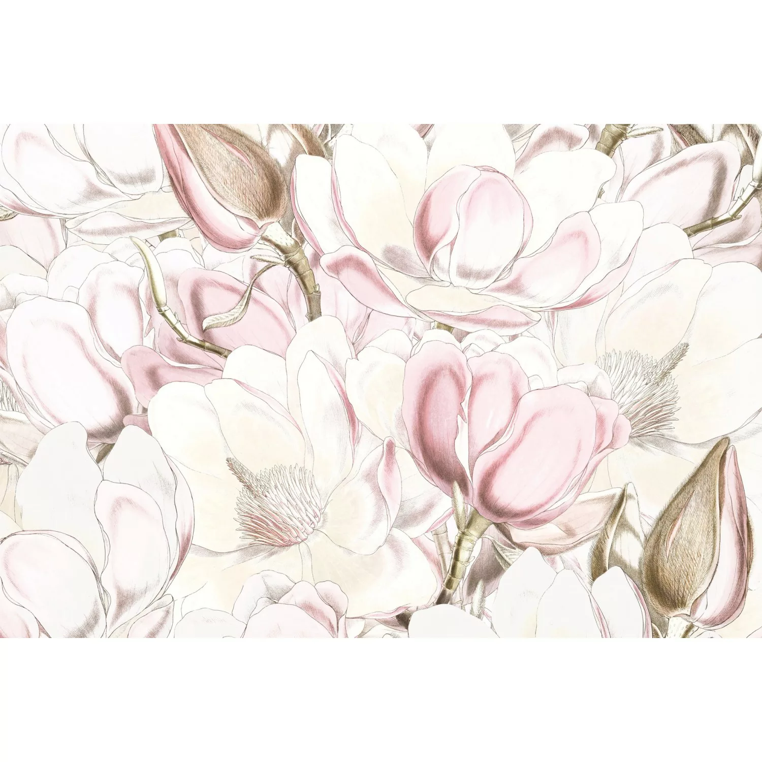 KOMAR Vlies Fototapete - Petals - Größe 368 x 248 cm mehrfarbig günstig online kaufen