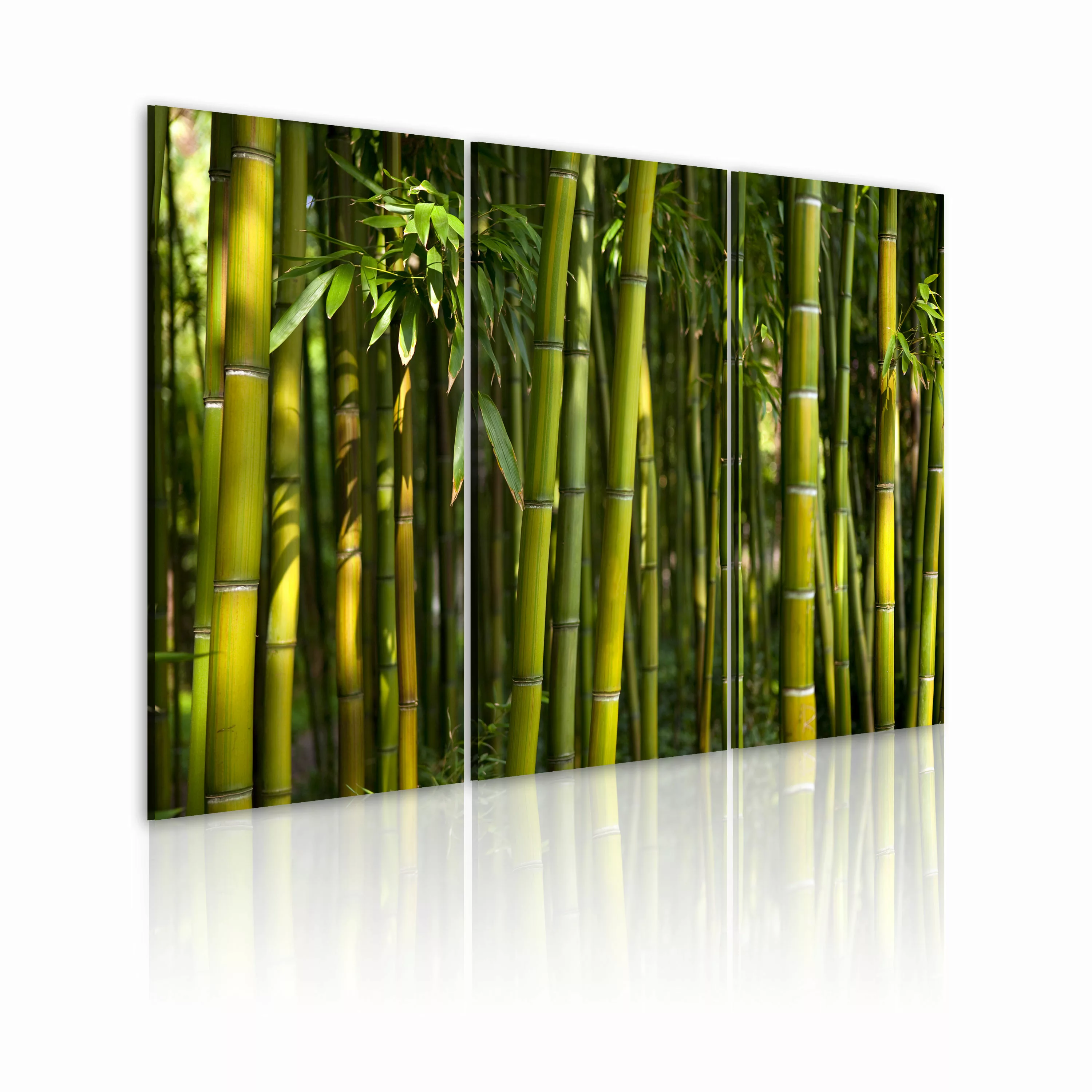Wandbild - Bambus In Grün günstig online kaufen