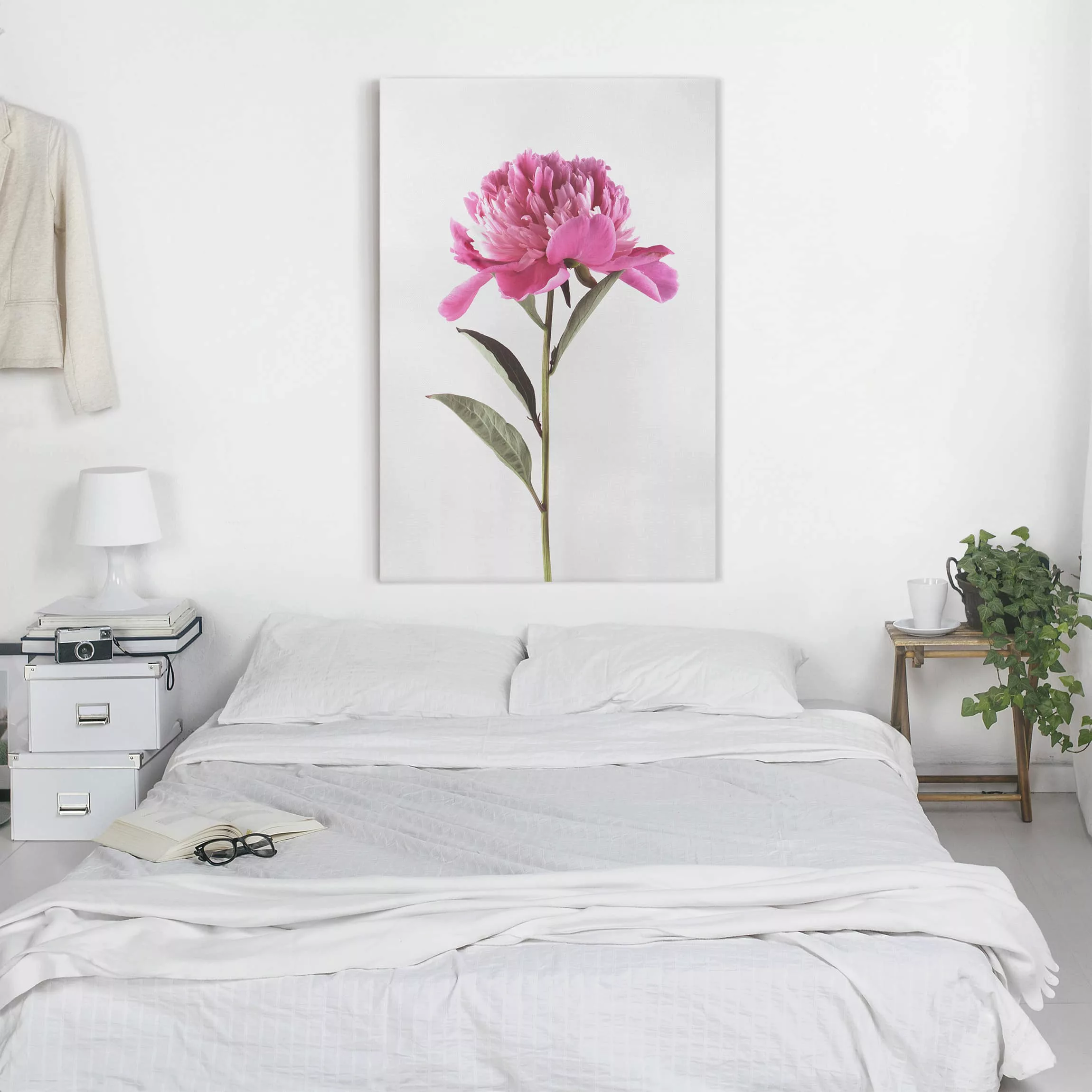 Leinwandbild Blumen - Hochformat Blühende Pfingstrose Pink auf Weiß günstig online kaufen