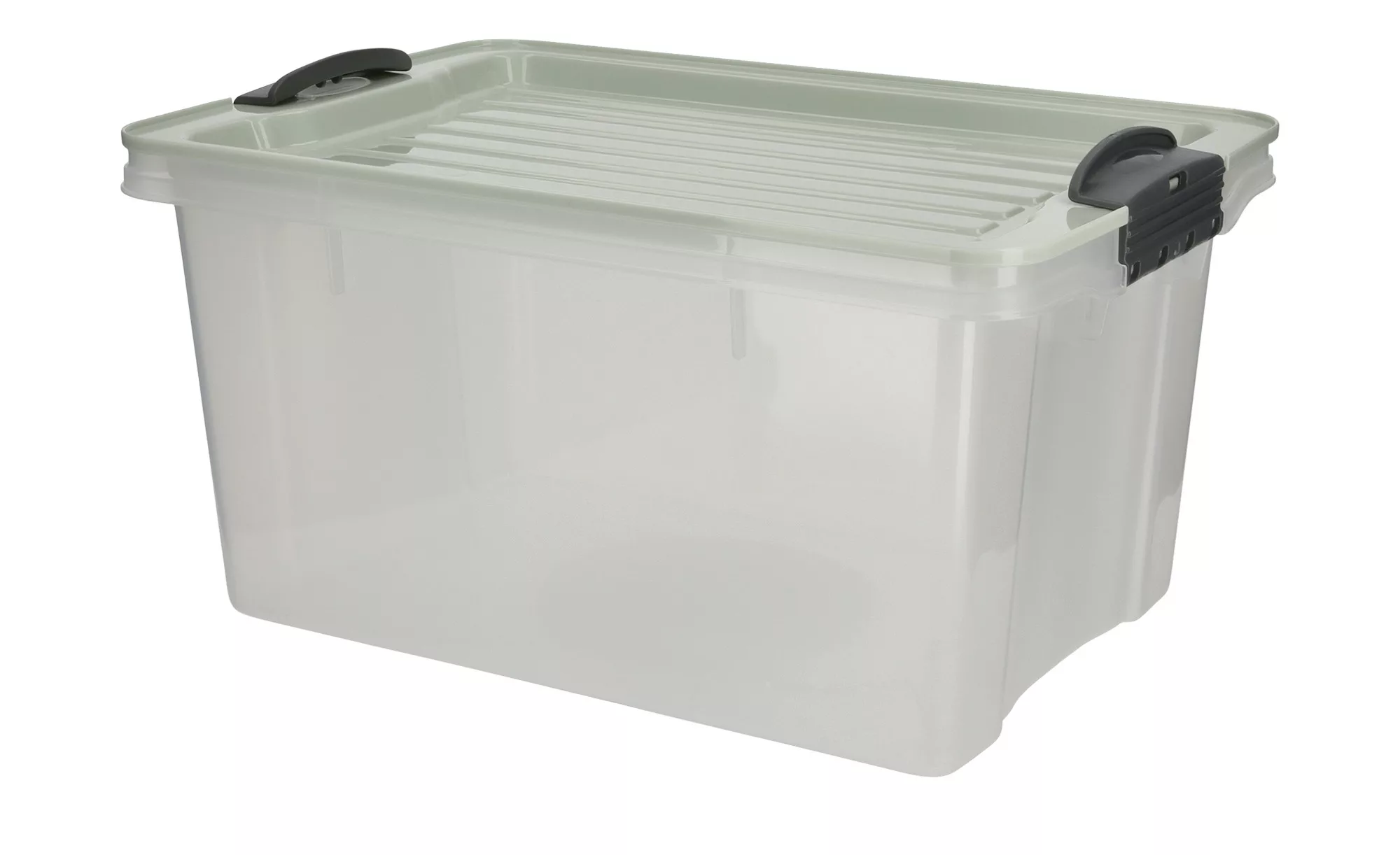 Rotho Aufbewahrungsbox mit Deckel - grün - Kunststoff - 18,5 cm - 15 cm - A günstig online kaufen