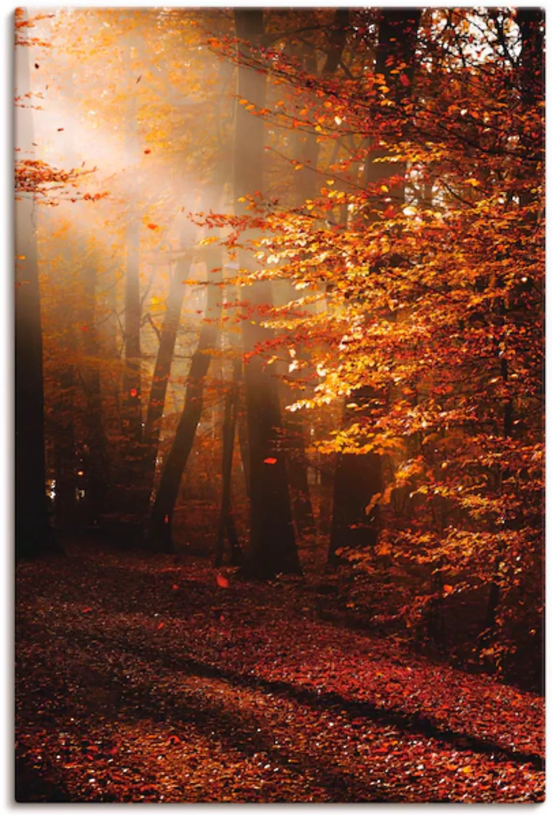 Artland Wandbild »Sonnenaufgang im Herbst«, Wald, (1 St.), als Leinwandbild günstig online kaufen