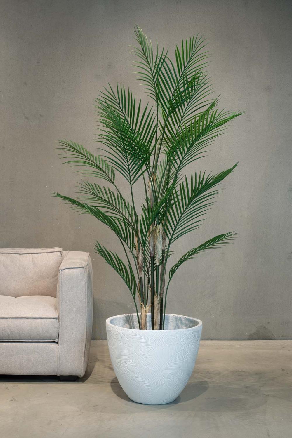 Künstliche Goldfruchtpalme - Areca Palm 150 cm günstig online kaufen