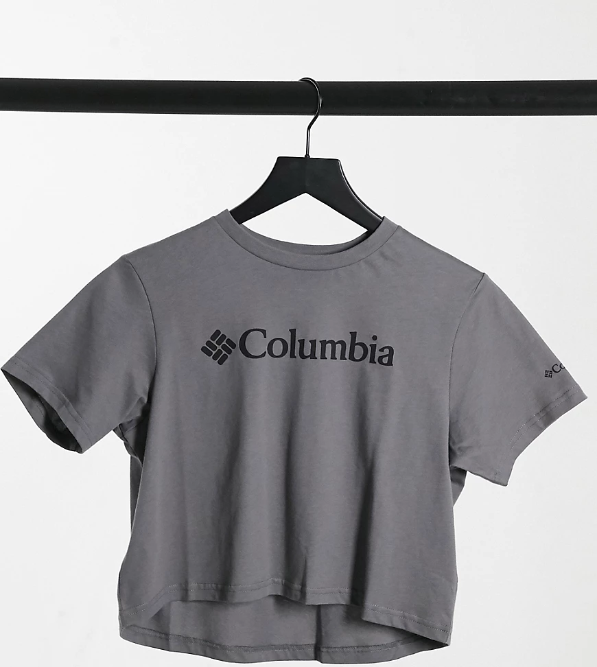 Columbia – North Cascades – Kurzes T-Shirt in Grau, exklusiv bei ASOS günstig online kaufen