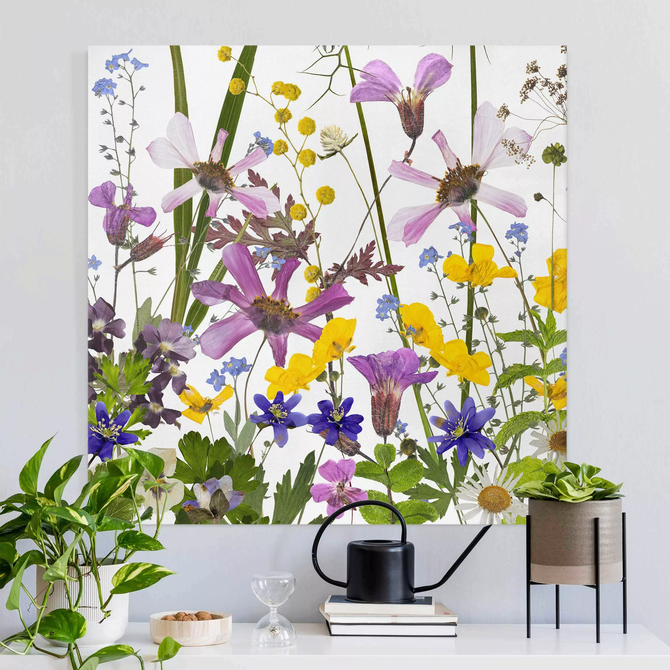 Leinwandbild Duftende Blumenwiese günstig online kaufen