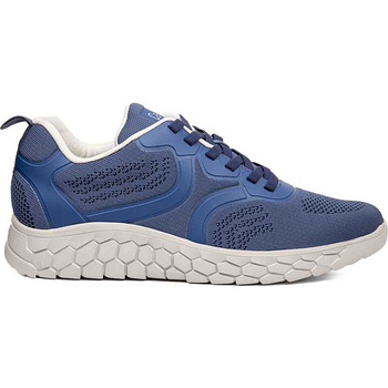 CallagHan  Sneaker 50910 SUV Cro Herren Sportschuhe günstig online kaufen