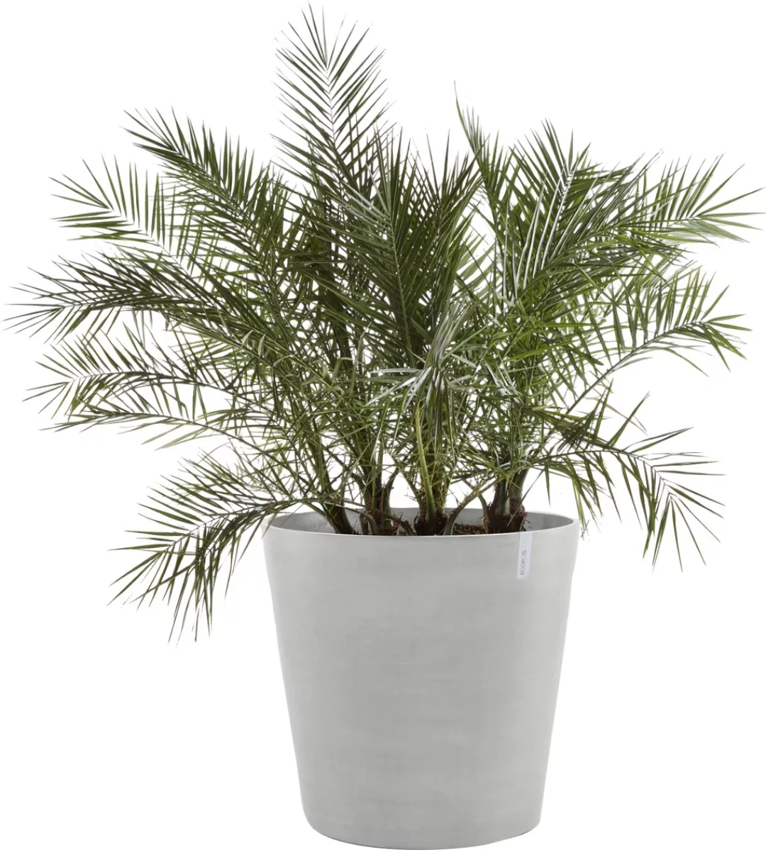 Ecopots Pflanztopf Amsterdam Rollen Weißgrau 60 cm x 56 cm günstig online kaufen