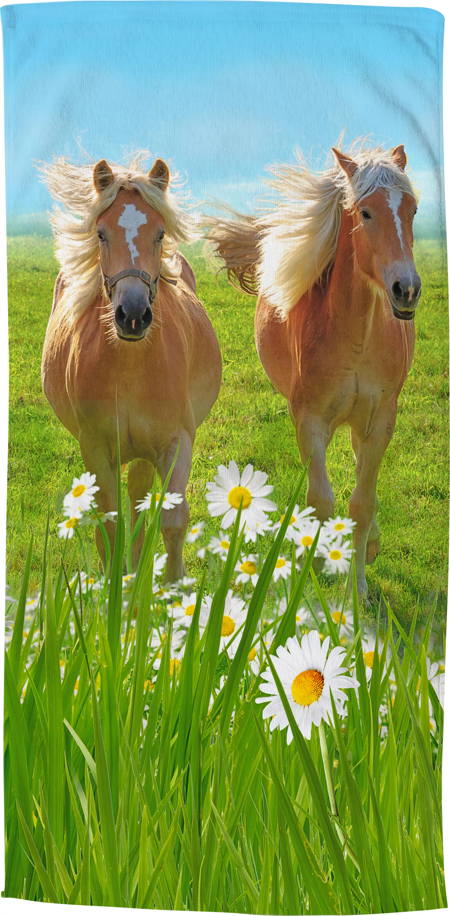 Good Morning Strandtuch Horses 75x150 Cm Mehrfarbig günstig online kaufen