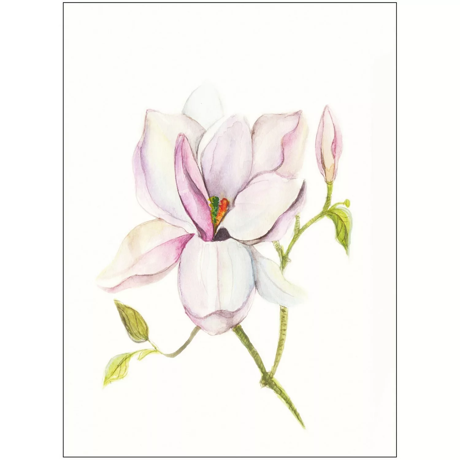 Komar Wandbild Magnolia Shine 40 x 50 cm günstig online kaufen