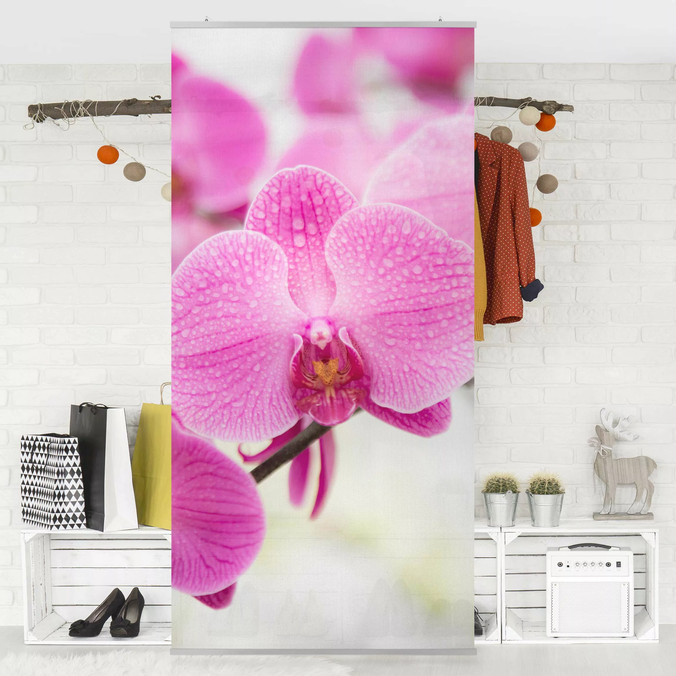 Raumteiler Blumen Nahaufnahme Orchidee günstig online kaufen