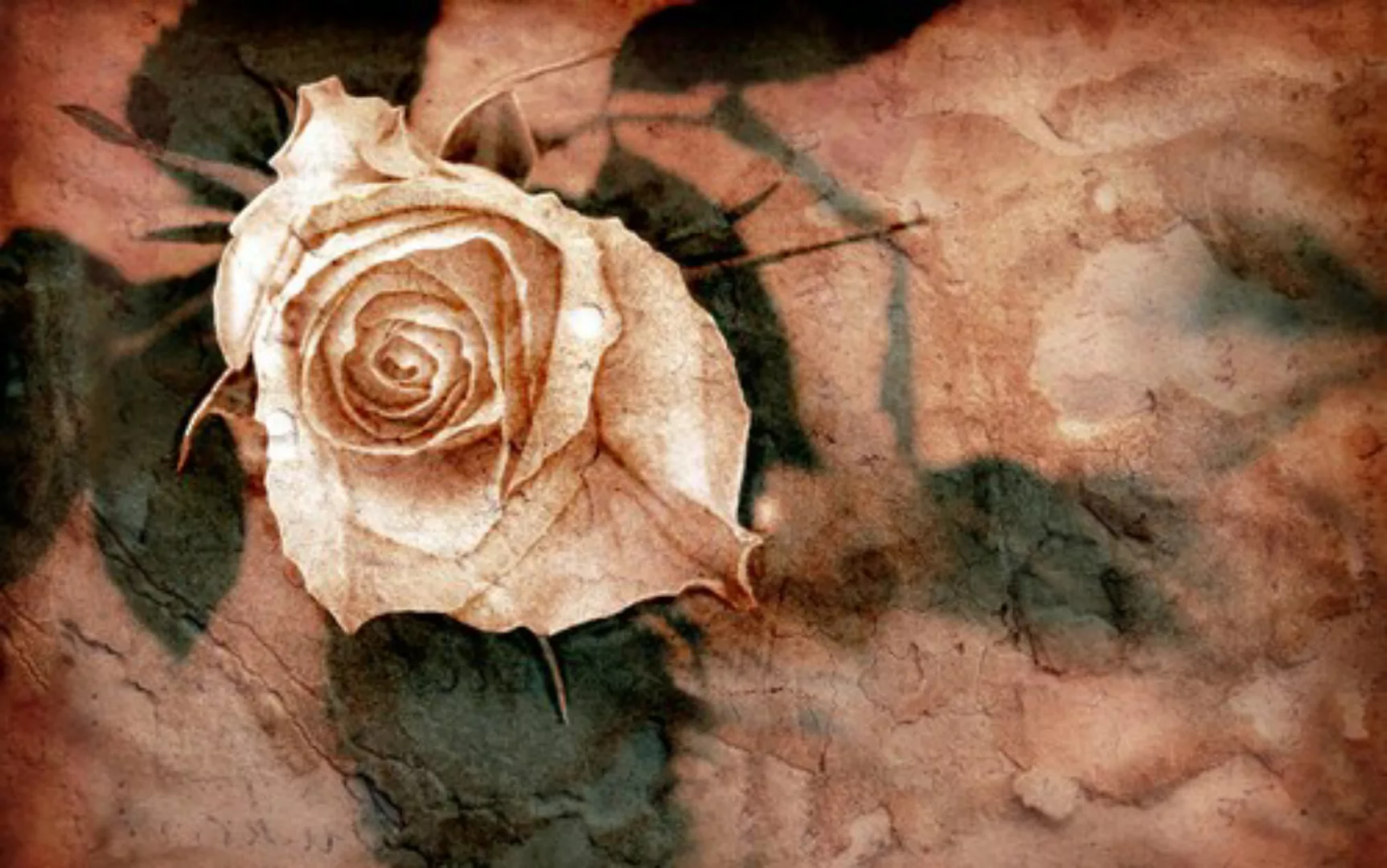 Papermoon Fototapete »Muster mit Blumen« günstig online kaufen