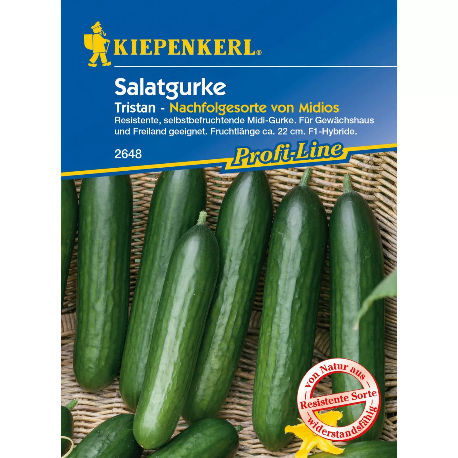 Kiepenkerl Salatgurke Tristan F1-Hybride günstig online kaufen