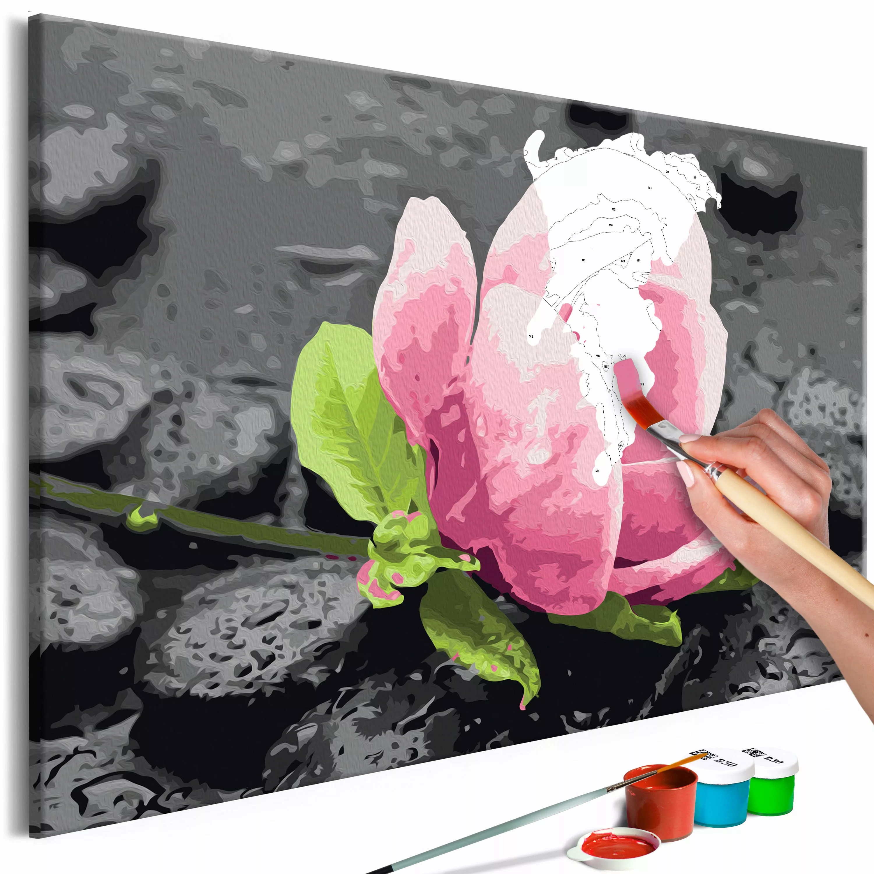 Malen Nach Zahlen - Pink Flower And Stones günstig online kaufen