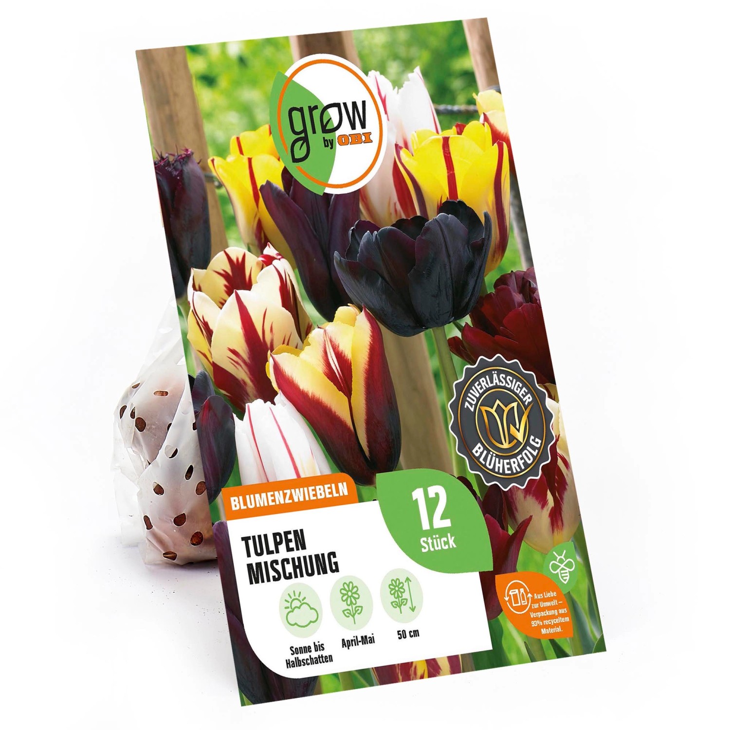 GROW by OBI Tulpen Mischung Nr. 4 / 12 Stück Tulipa mix günstig online kaufen