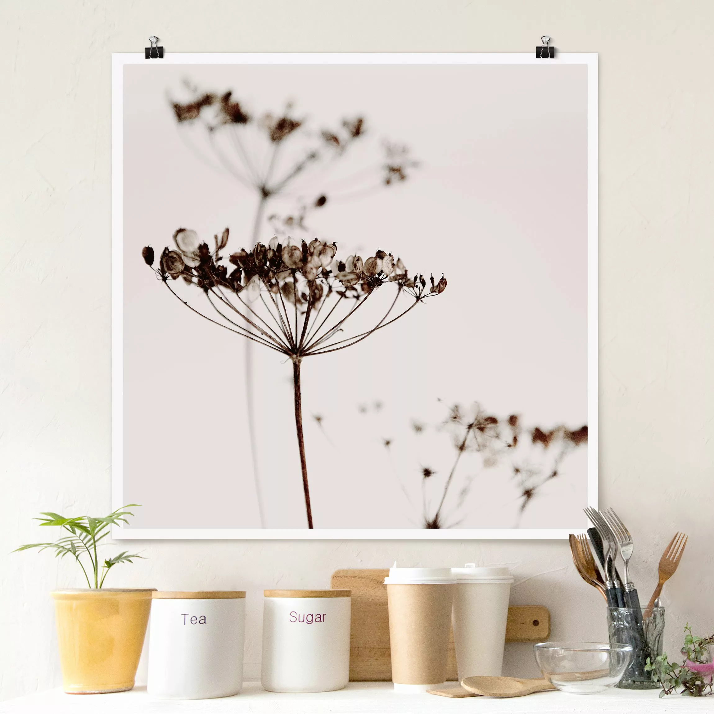 Poster Trockenblume im Schatten günstig online kaufen