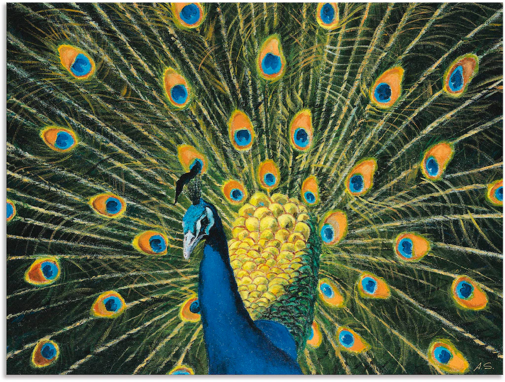 Artland Wandbild »Pfau«, Vögel, (1 St.), als Alubild, Outdoorbild, Leinwand günstig online kaufen