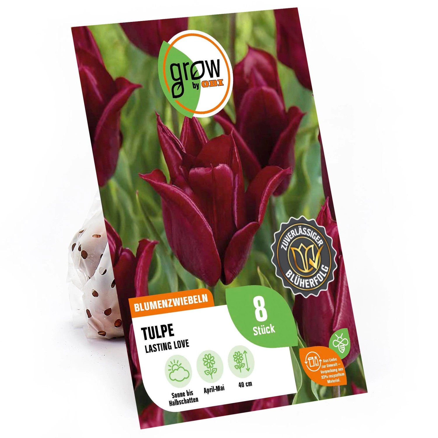 GROW by OBI Lilienblütige Tulpe Lasting Love Rot 40 cm Tulipa günstig online kaufen