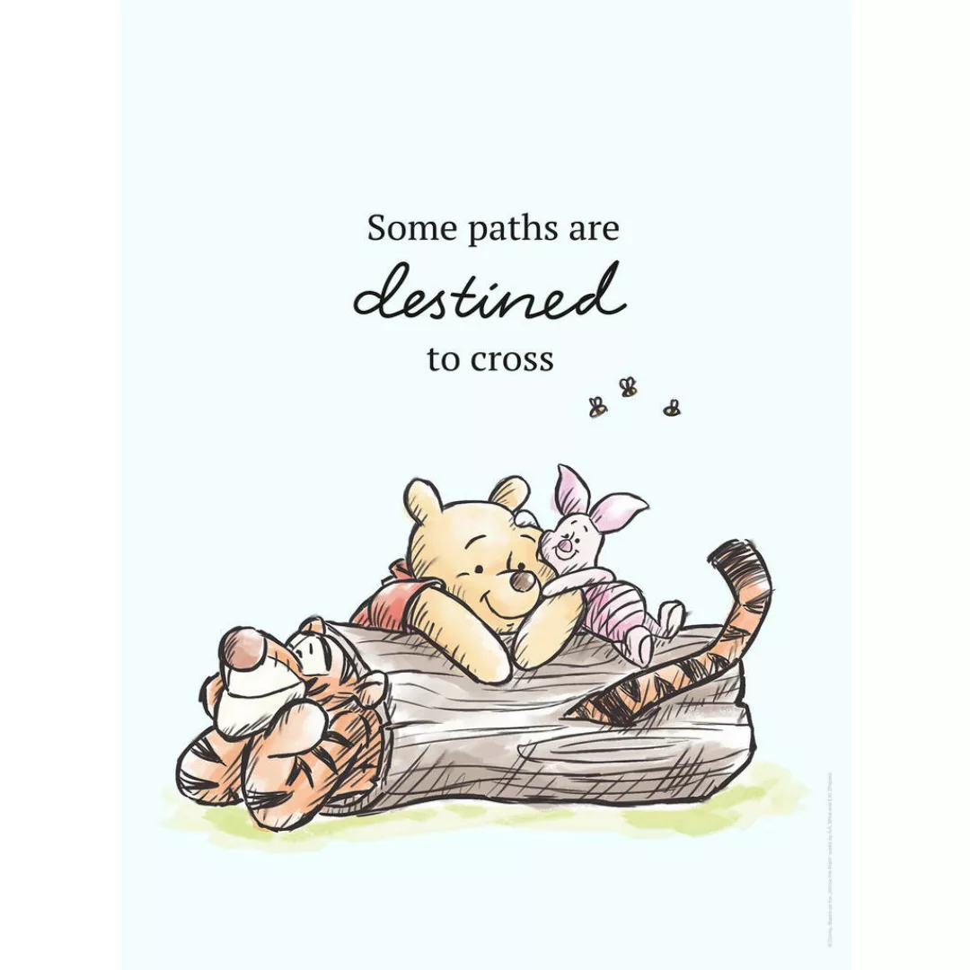 Komar Wandbild Winnie Pooh Path Disney B/L: ca. 30x40 cm günstig online kaufen