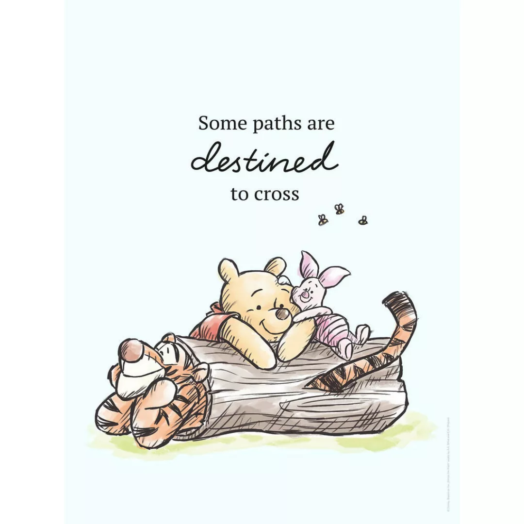 Komar Poster Winnie Pooh Path Disney B/L: ca. 30x40 cm günstig online kaufen