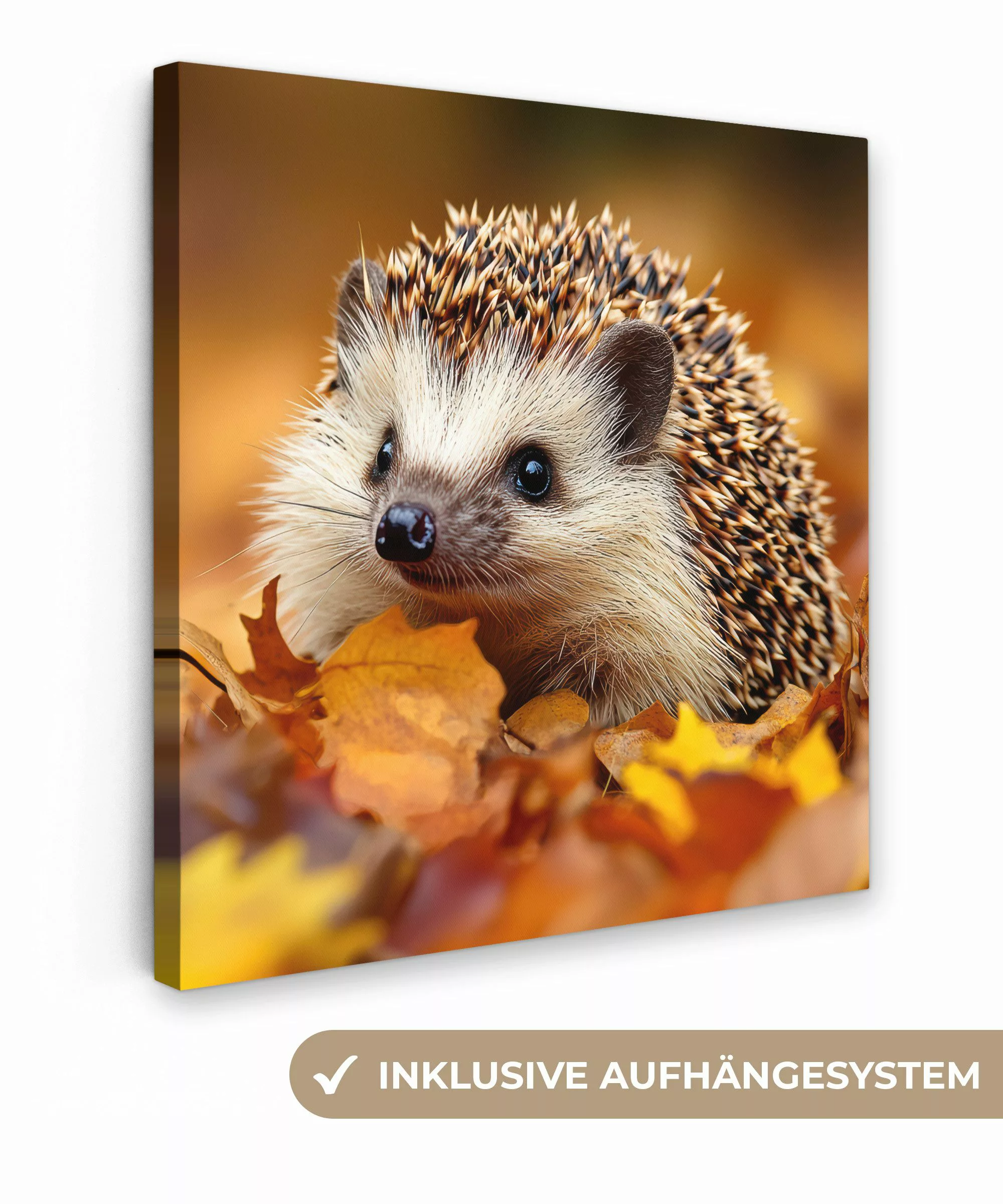 OneMillionCanvasses® Leinwandbild Igel - Wald - günstig online kaufen