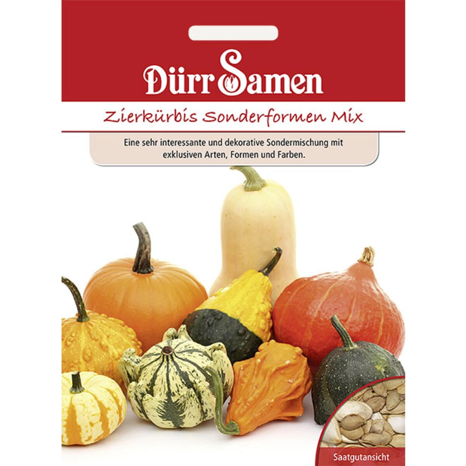 Dürr Samen Zierkürbis Sonderformen Saatgut günstig online kaufen