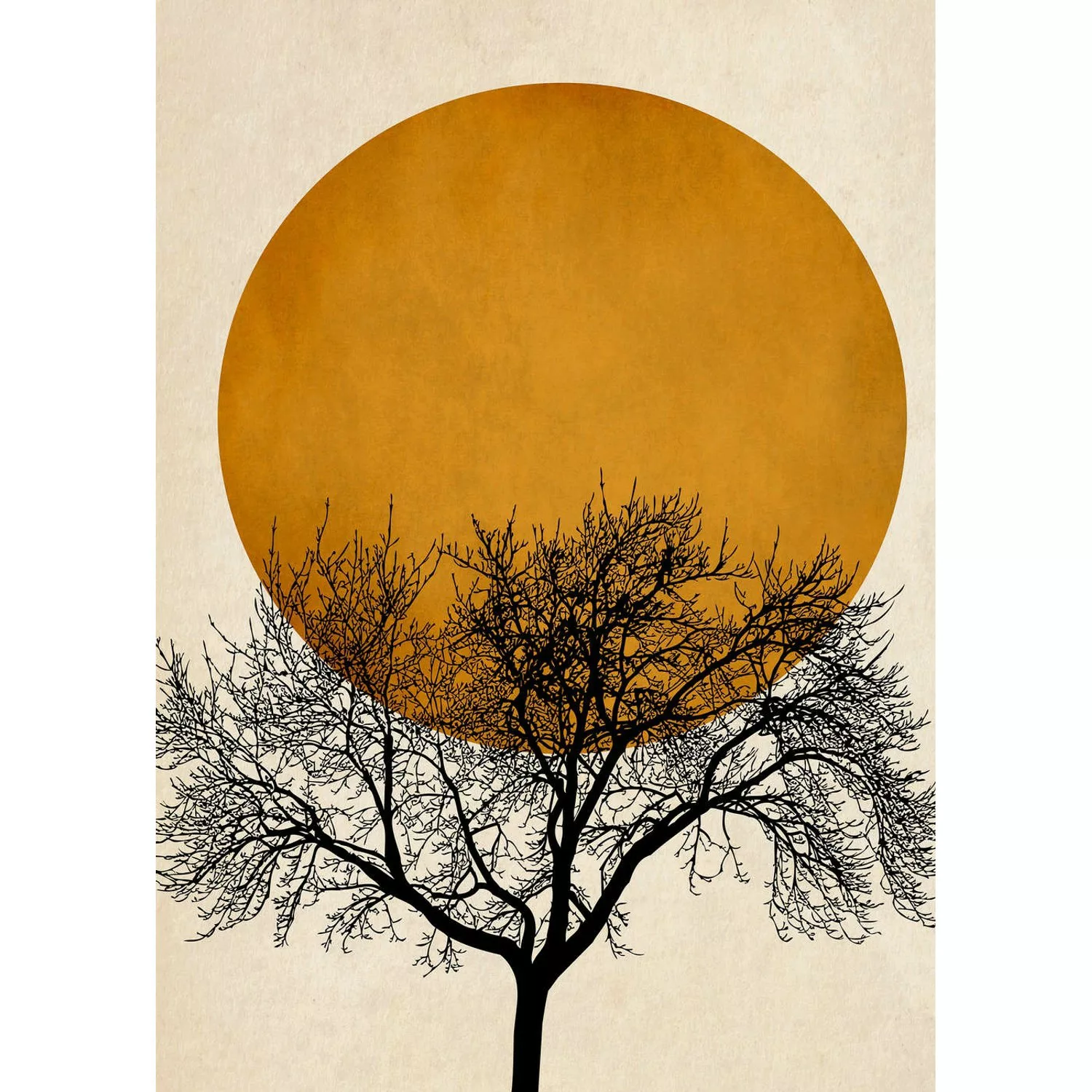 Fototapete Baum Sonnenuntergang Schwarz Weiß Gelb 2,00 m x 2,80 m FSC® günstig online kaufen