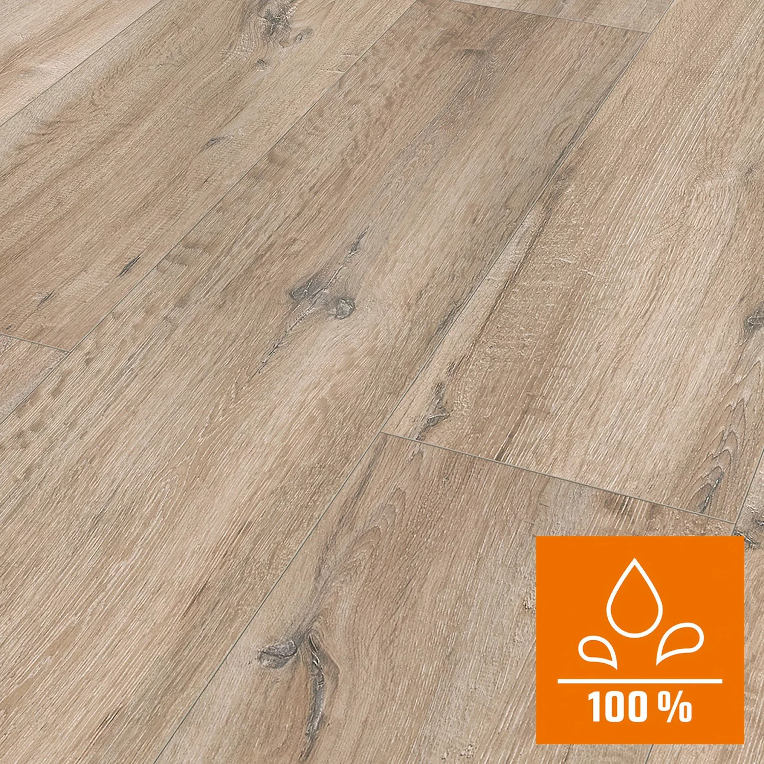 Classen Laminatboden Eiche Graubraun NKL 32 günstig online kaufen