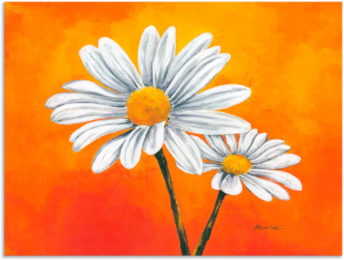 Artland Wandbild »Margeriten auf Orange«, Blumen, (1 St.), als Alubild, Lei günstig online kaufen