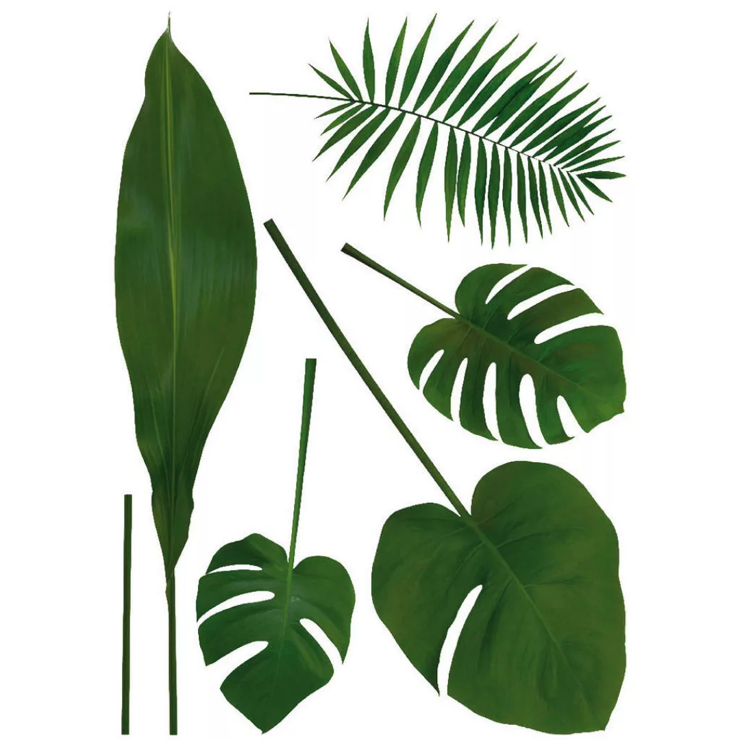 Dekosticker Blätter grün B/L: ca. 50x70 cm 2 tlg. günstig online kaufen