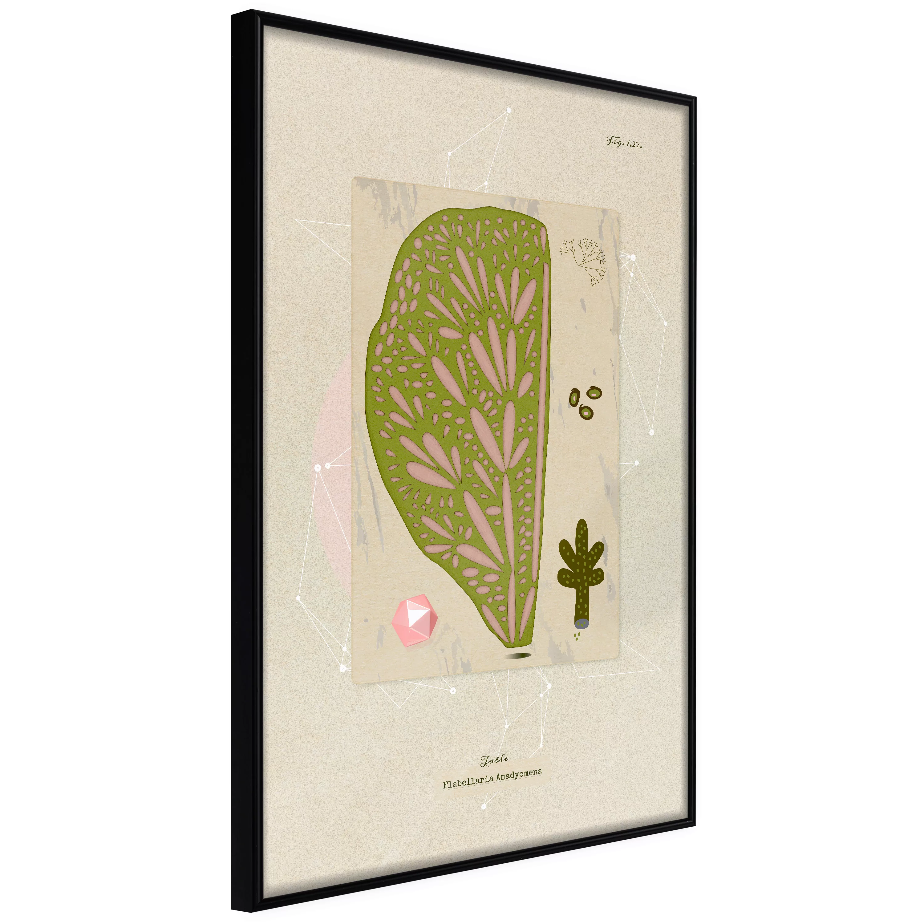 Poster - Cross Section Of A Leaf günstig online kaufen