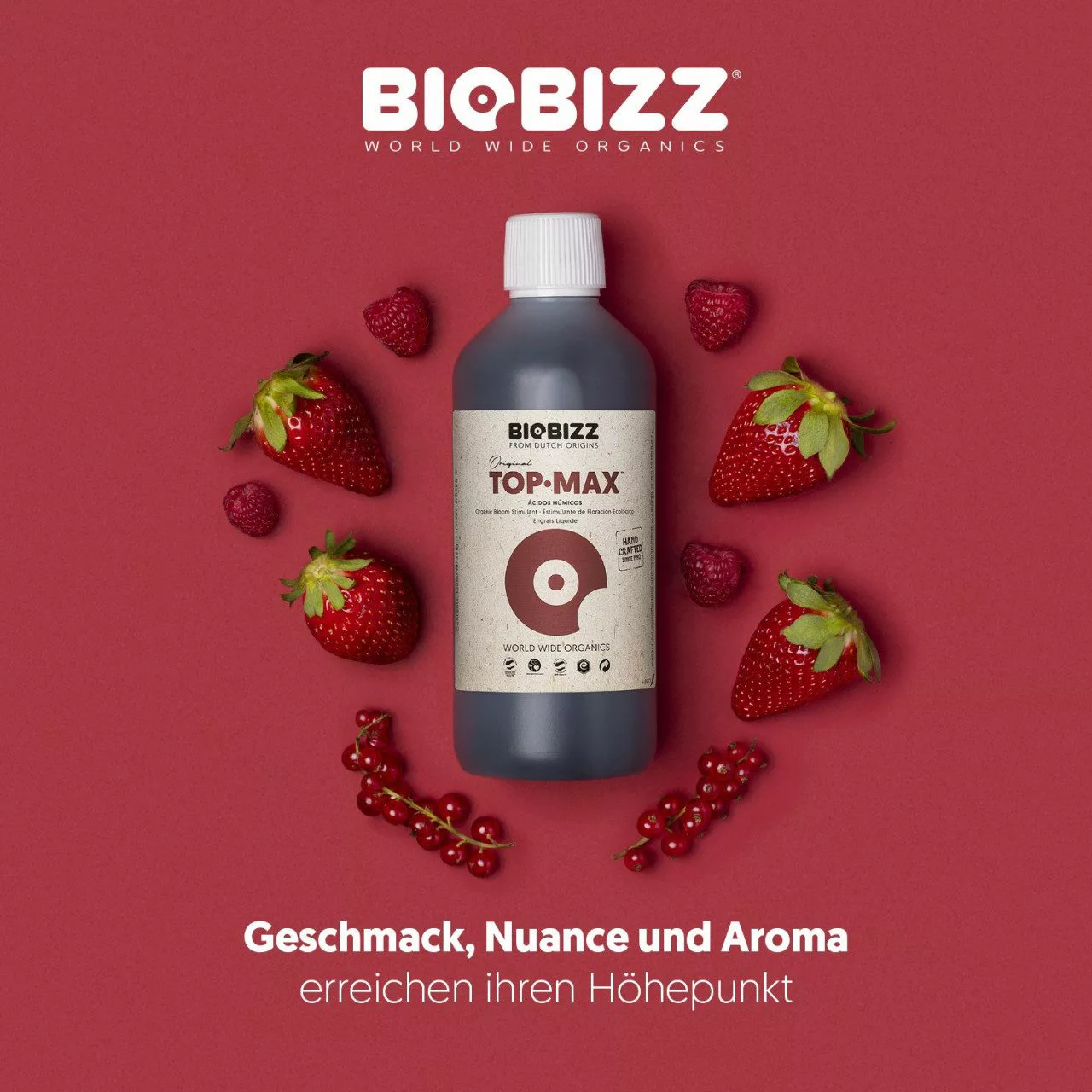 Biobizz Pflanzendünger BioBizz Grow Dünger Top-Max günstig online kaufen