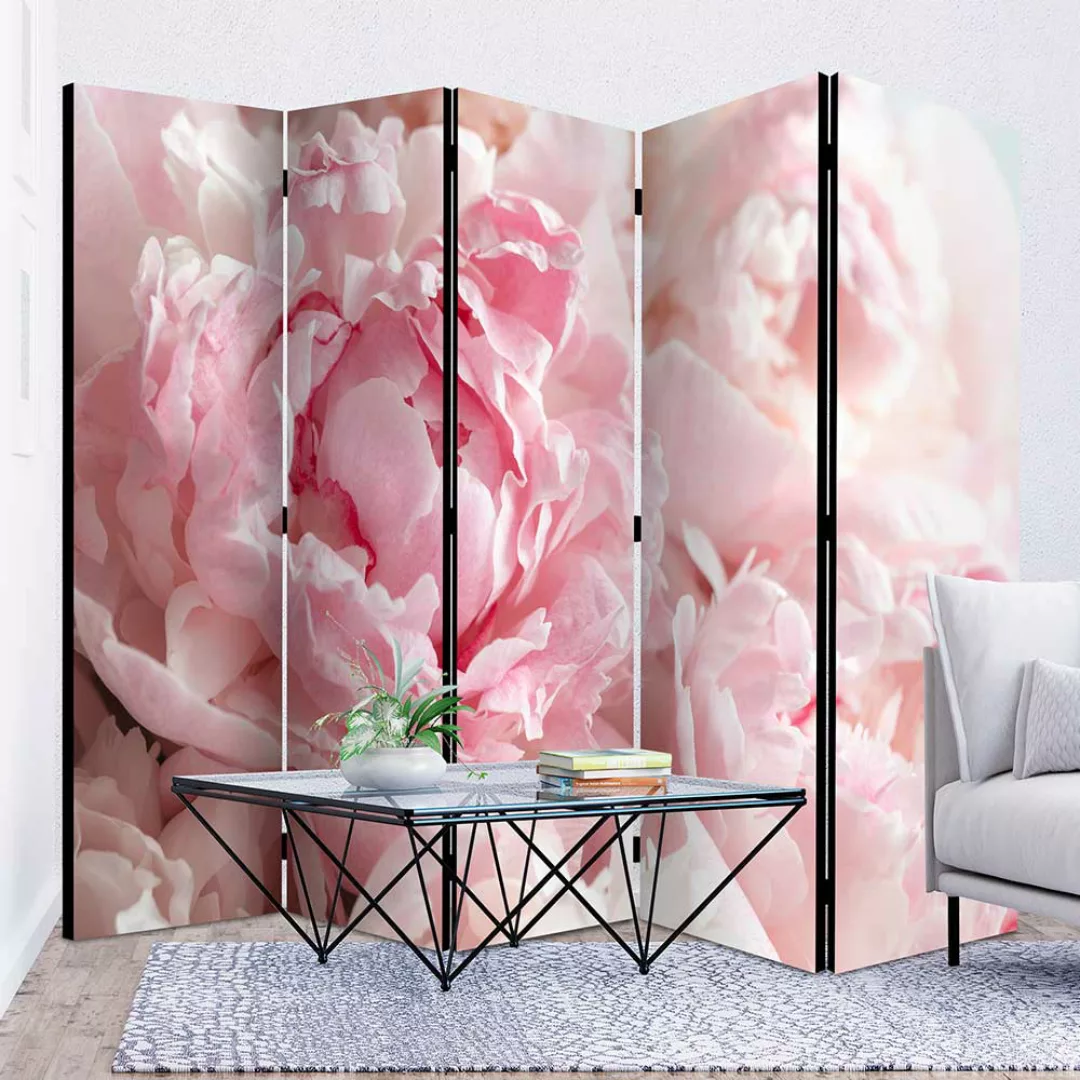 Trennwand Sichtschutz mit Pfingstrosen Motiv Rosa und Pink günstig online kaufen