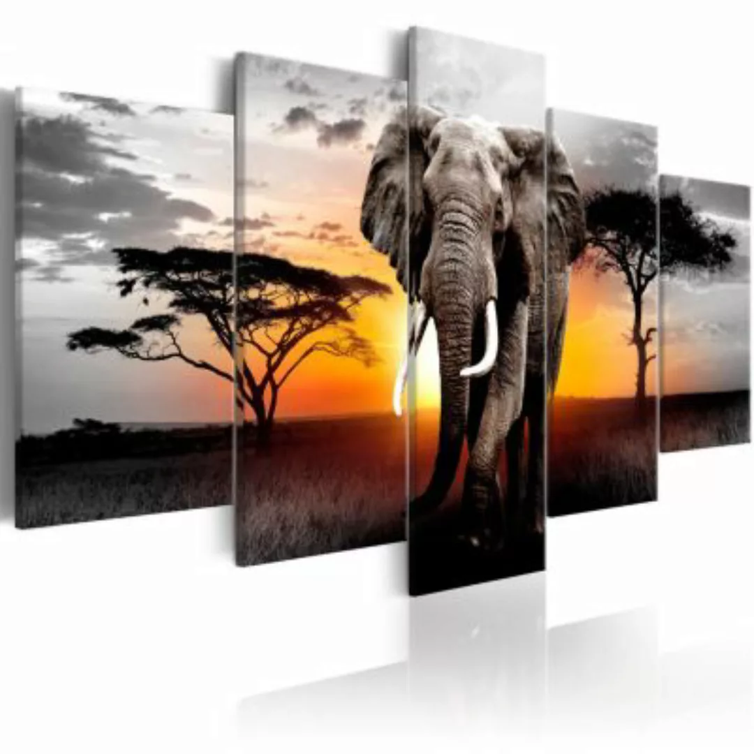 artgeist Wandbild Elephant at Sunset mehrfarbig Gr. 200 x 100 günstig online kaufen