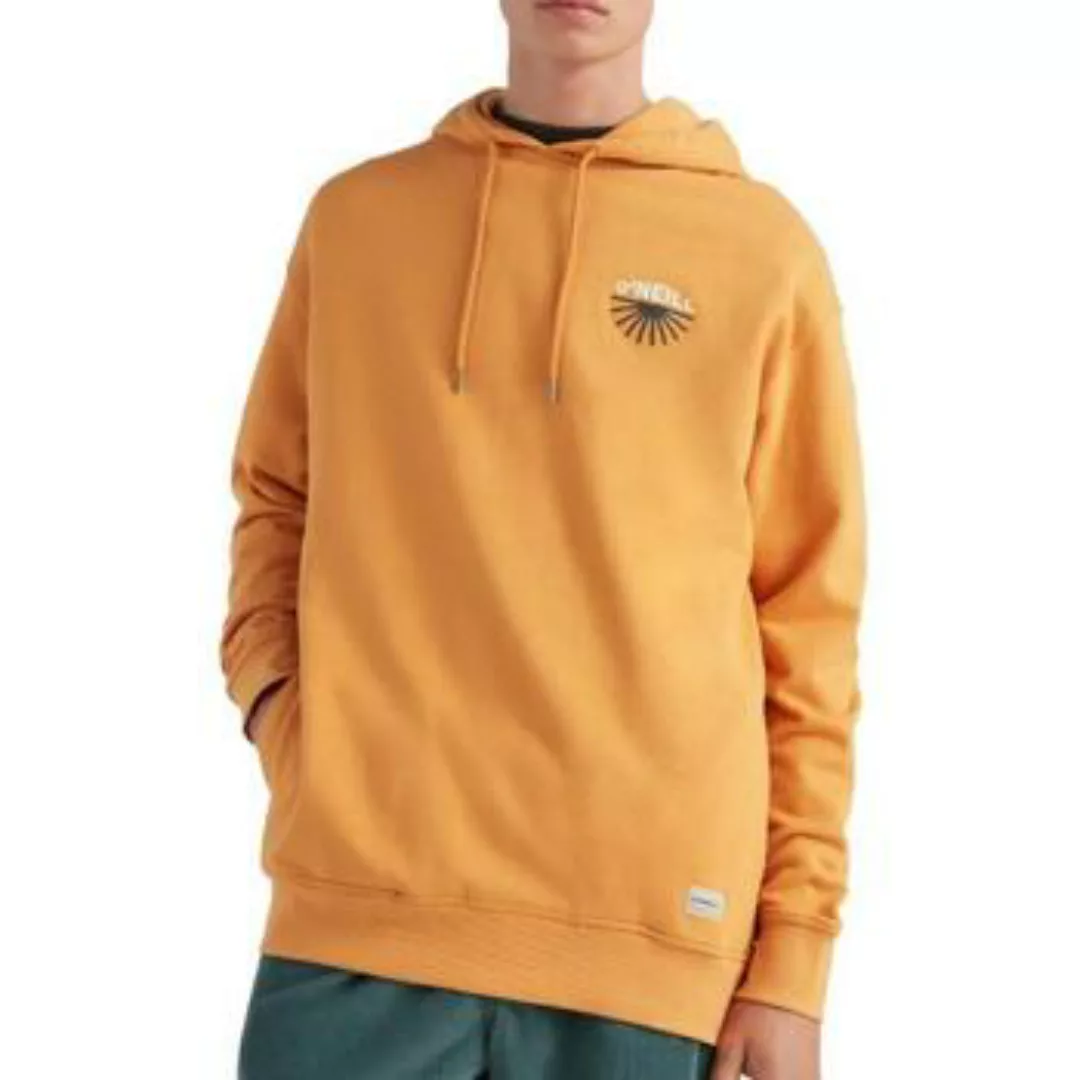 O'neill  Sweatshirt 2750045-17016 günstig online kaufen