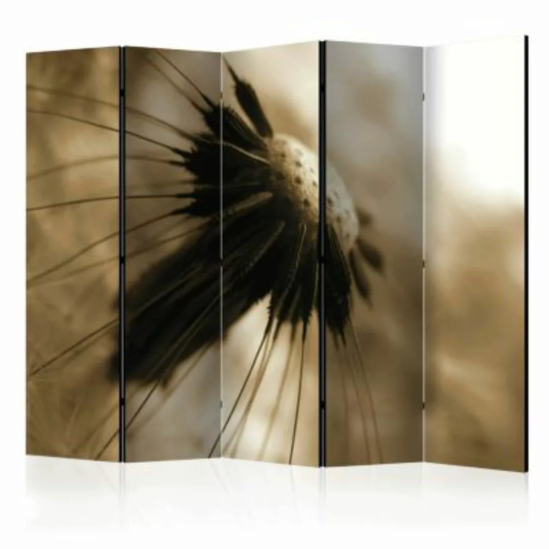 artgeist Paravent dandelion (sepia) II [Room Dividers] sand Gr. 225 x 172 günstig online kaufen