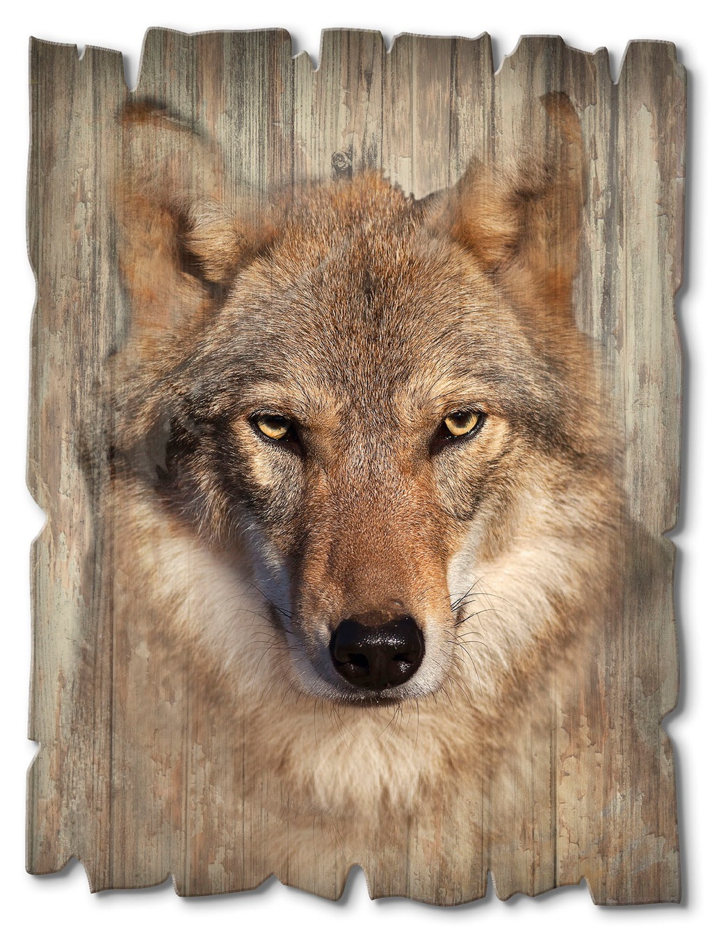 Artland Holzbild "Wolf", Wildtiere, (1 St.) günstig online kaufen