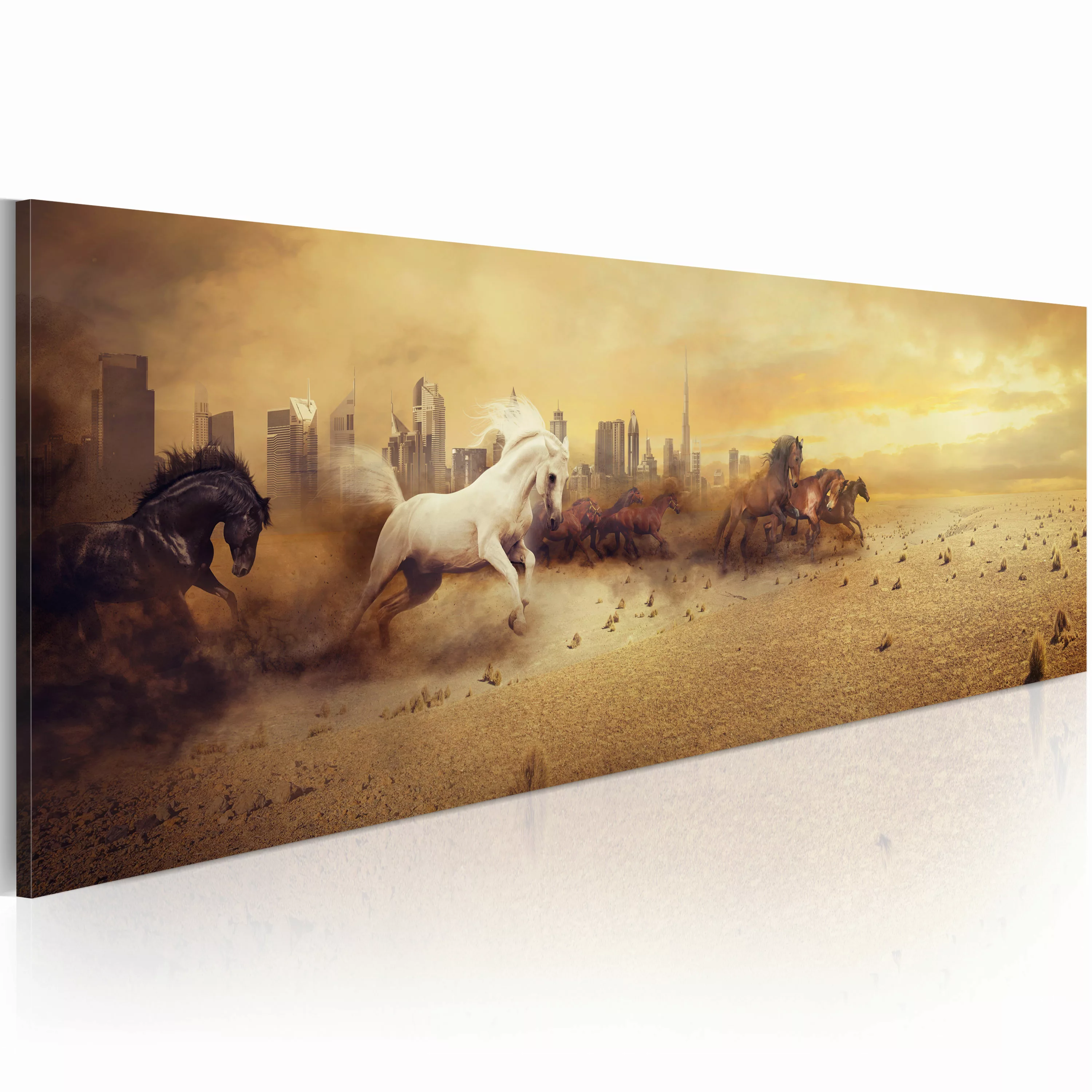 Wandbild - City Of Stallions günstig online kaufen