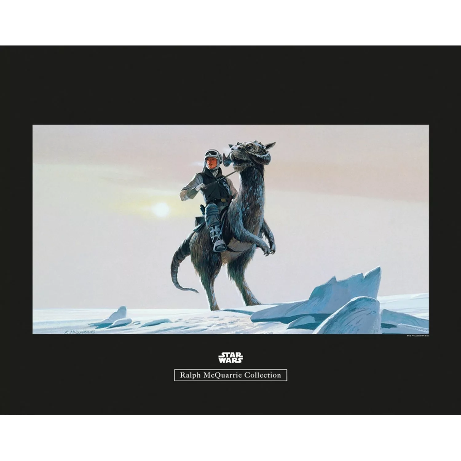 Komar Wandbild Star Wars Tauntaun 50 x 40 cm günstig online kaufen