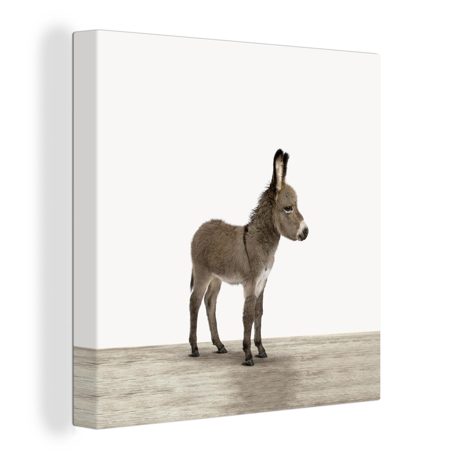 OneMillionCanvasses® Leinwandbild Esel - Tiere - günstig online kaufen