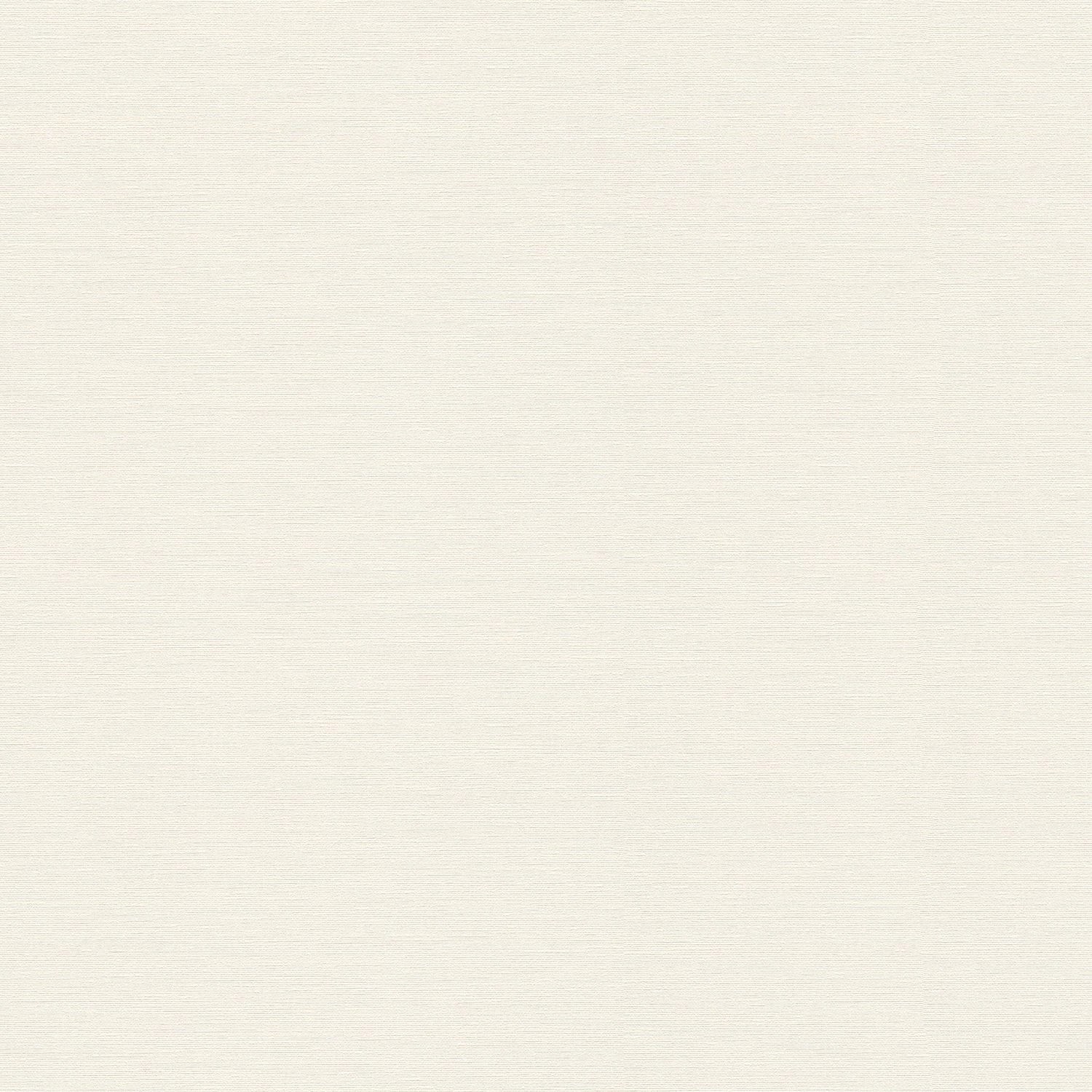 PROFHOME 306891-GU Ton-in-Ton Tapete Uni Matt Creme 0,53 m x 10,05 m 5,33 m günstig online kaufen