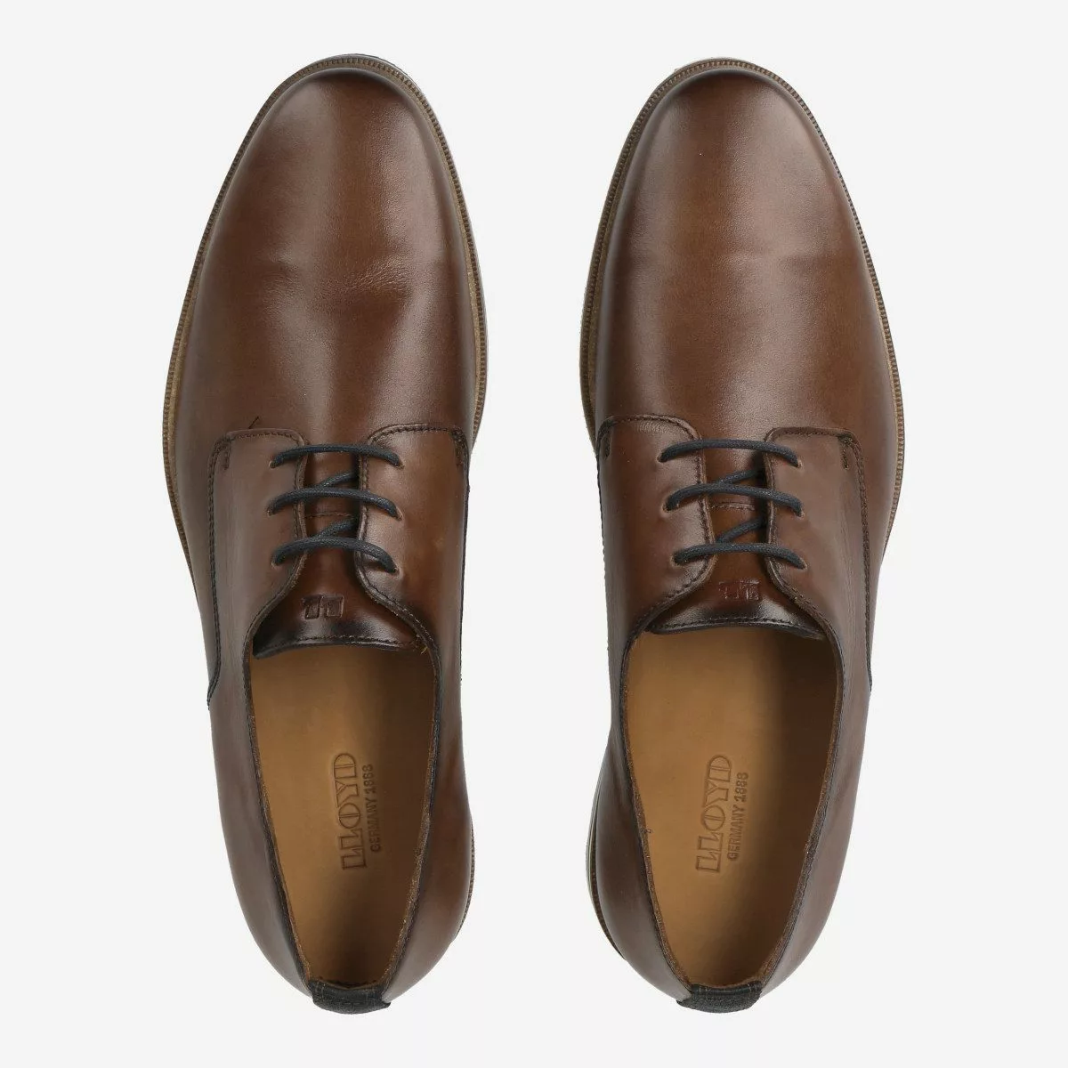 Lloyd Lloyd 14-007-03 DAKIN, Schnürschuhe in günstig online kaufen