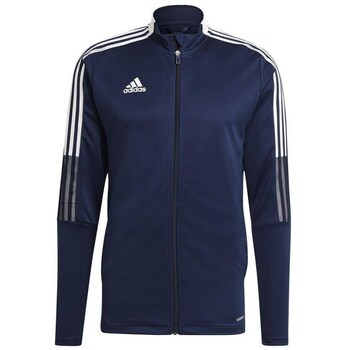 adidas  Sweatshirt Tiro 21 günstig online kaufen