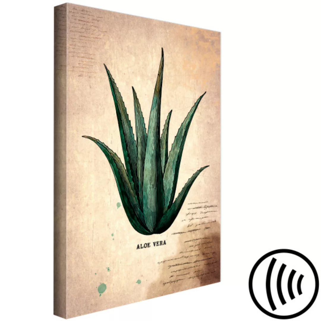 Wandbild Herbarium Page (1 Part) Vertical XXL günstig online kaufen