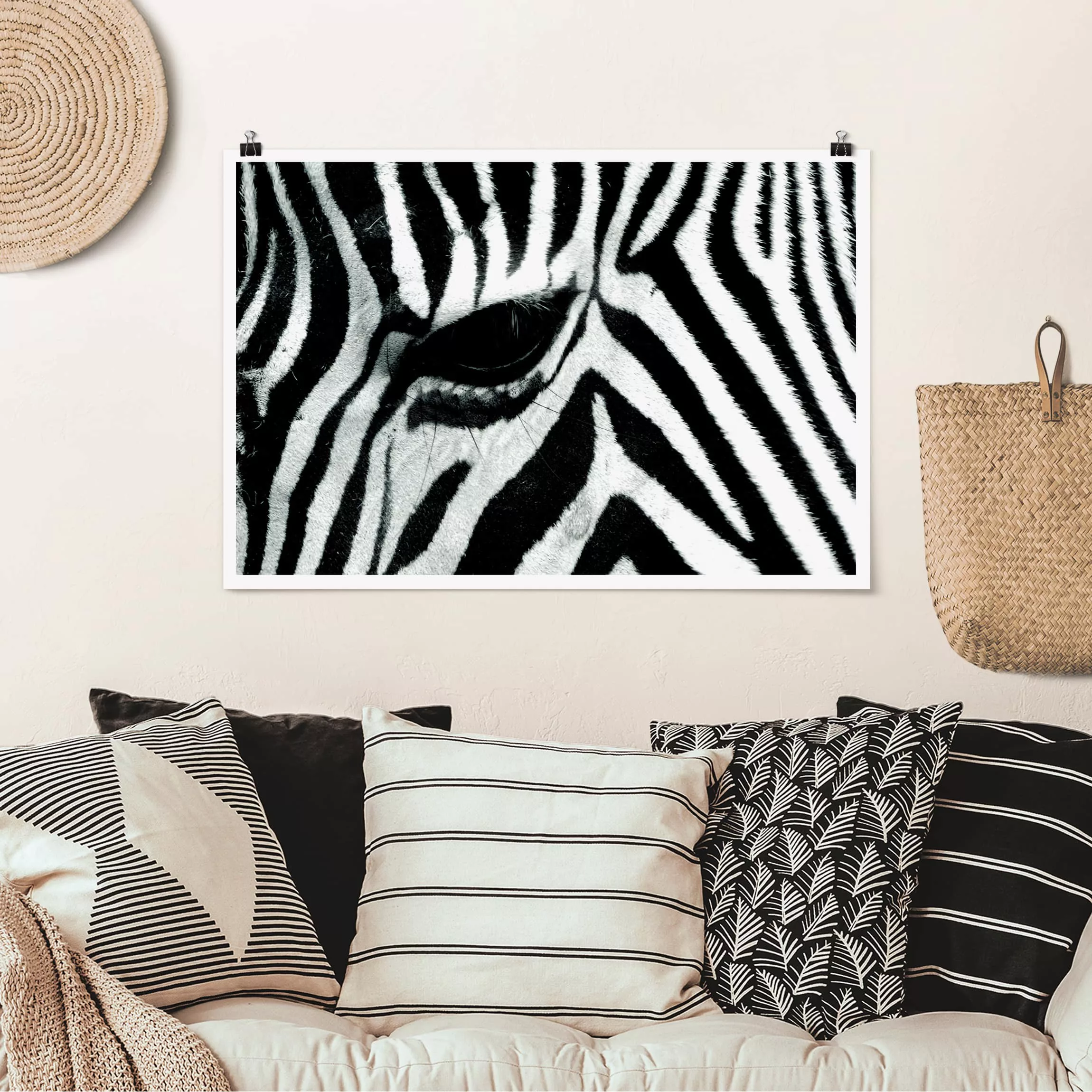 Poster Tiere - Querformat Zebra Crossing günstig online kaufen