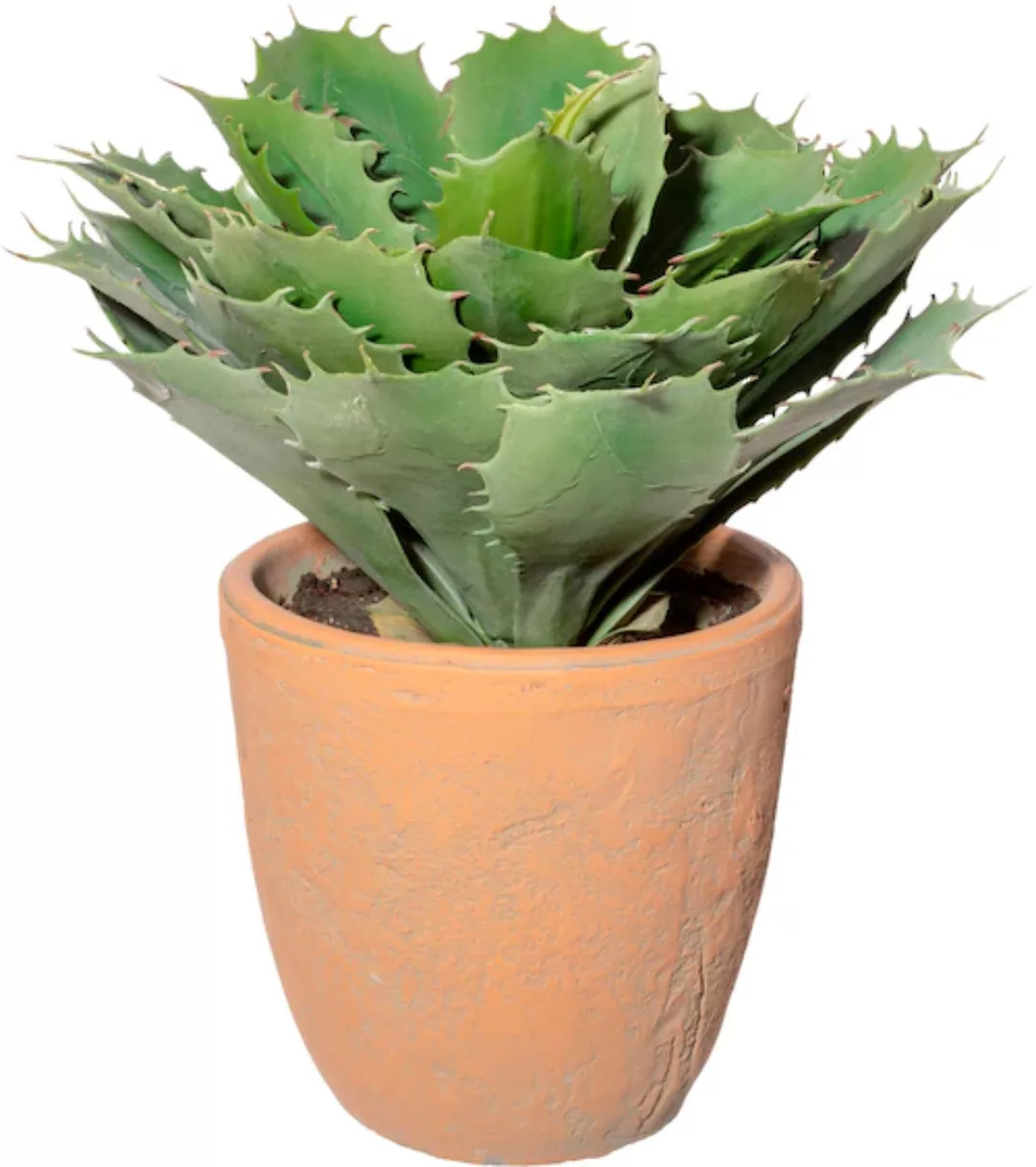 Creativ green Künstliche Zimmerpflanze "Echeveria im Terracottatopf" günstig online kaufen