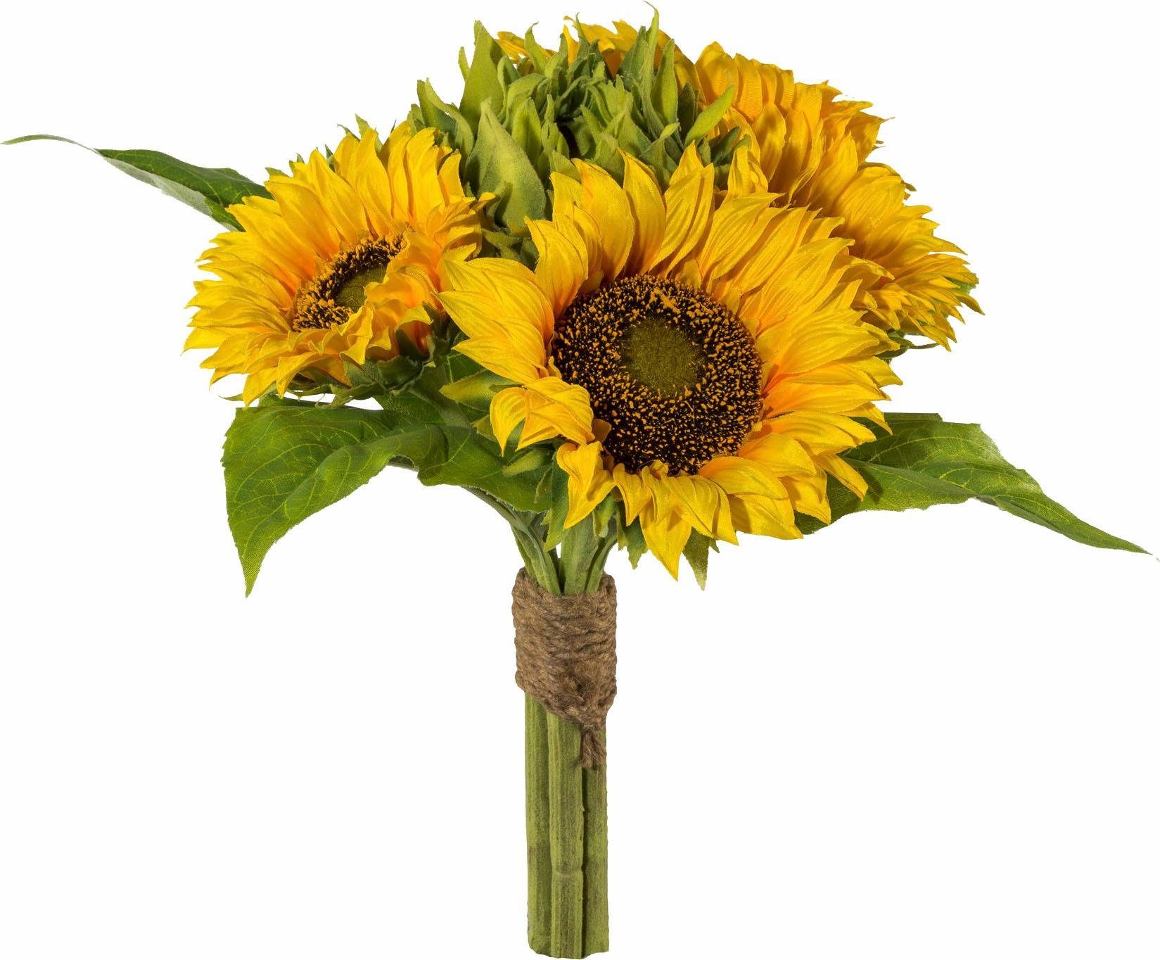 Kunstblume, Creativ green, Höhe 35 cm günstig online kaufen