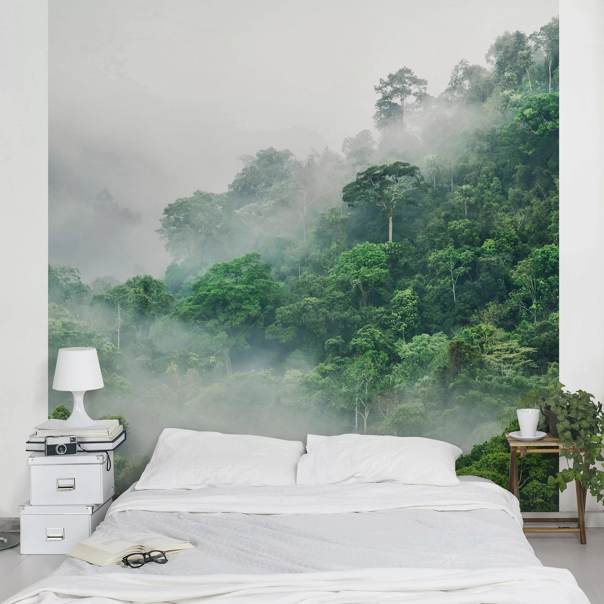 Bilderwelten Vliestapete Dschungel im Nebel grün Gr. 192 x 192 günstig online kaufen